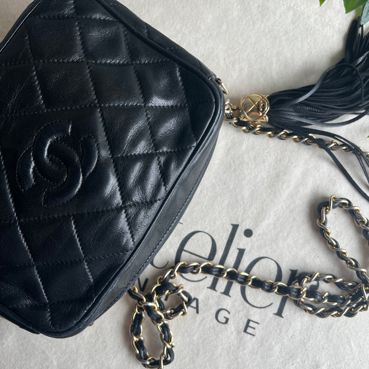 Chanel 1989 Vintage Tassel Camera Bag