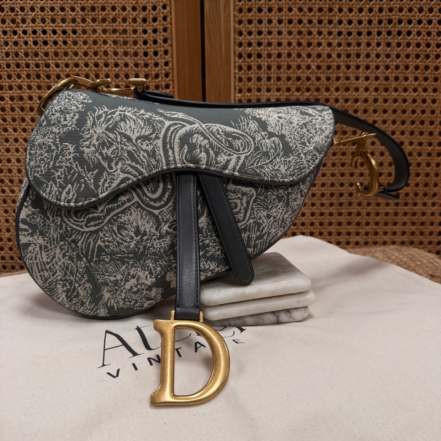 Dior 2021 Saddle Bag in Toile