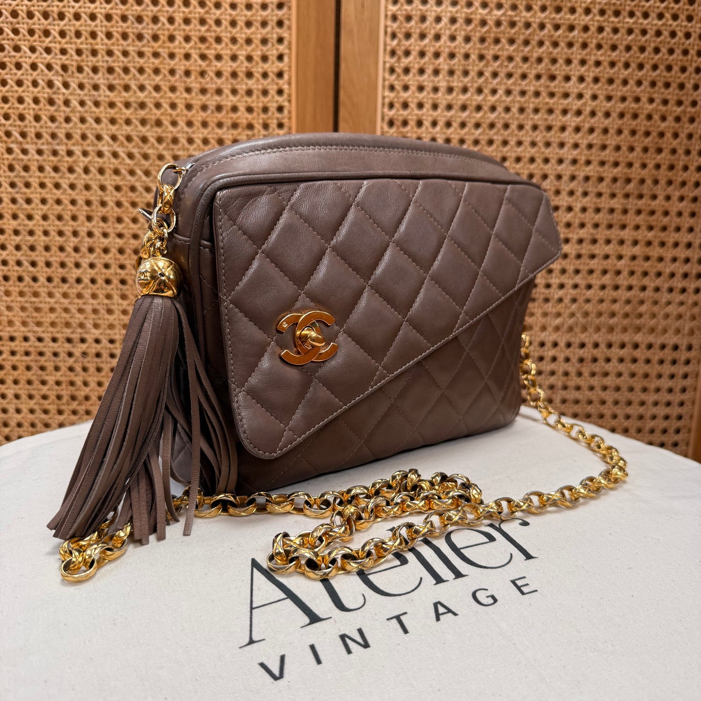 Chanel 1991 Rare CC Camera Bag Bijoux Strap