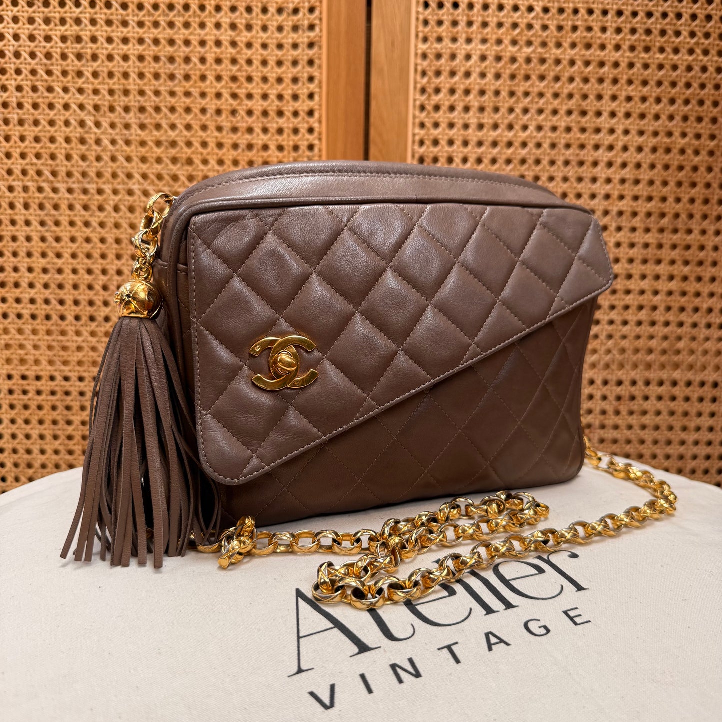 Chanel 1991 Rare CC Camera Bag Bijoux Strap