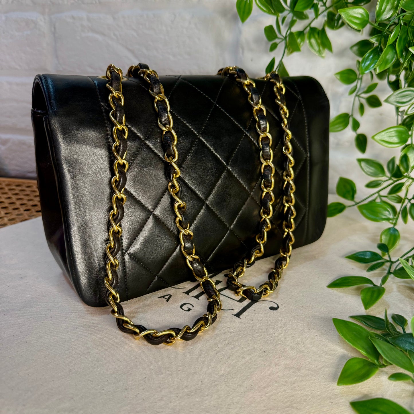 Chanel 1989 Vintage Classic Diana Small