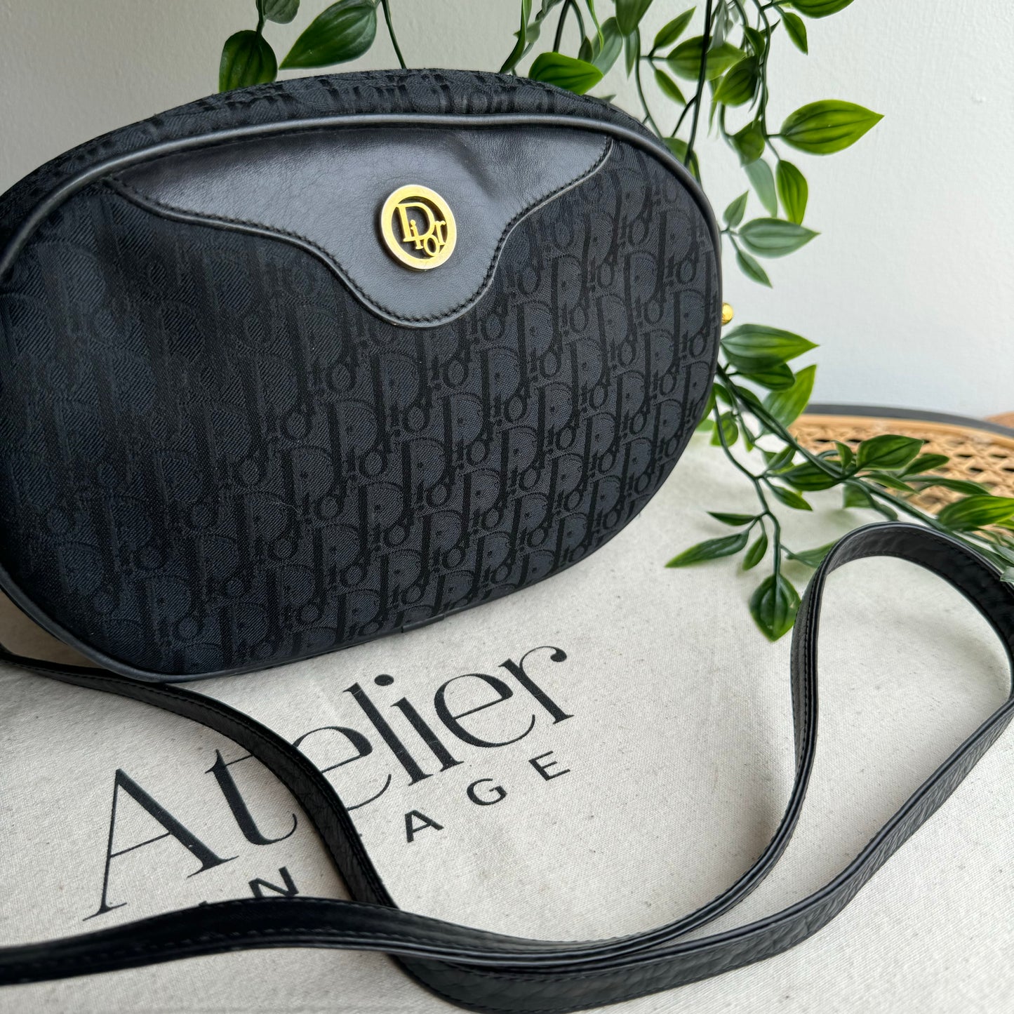 Dior 1980s Trotter Canvas Bag