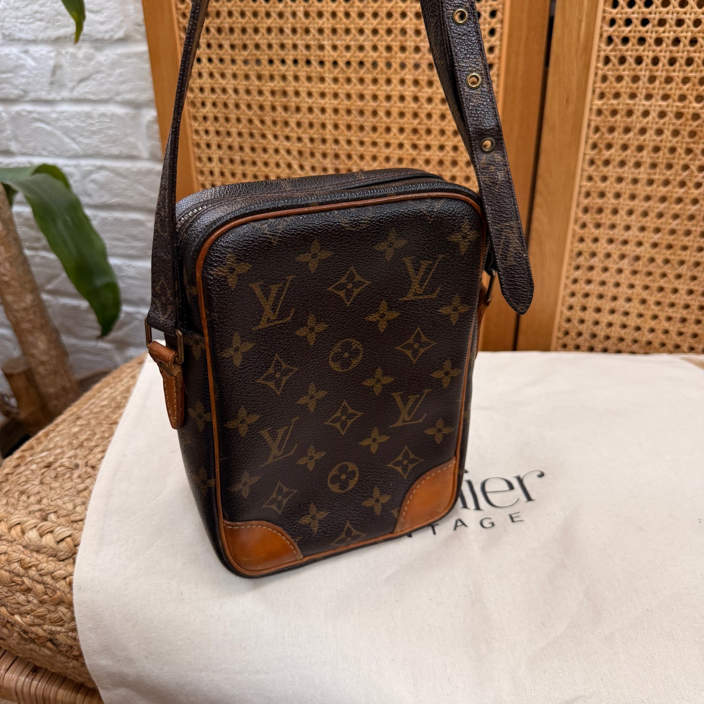 Louis Vuitton Vintage Amazon Crossbody