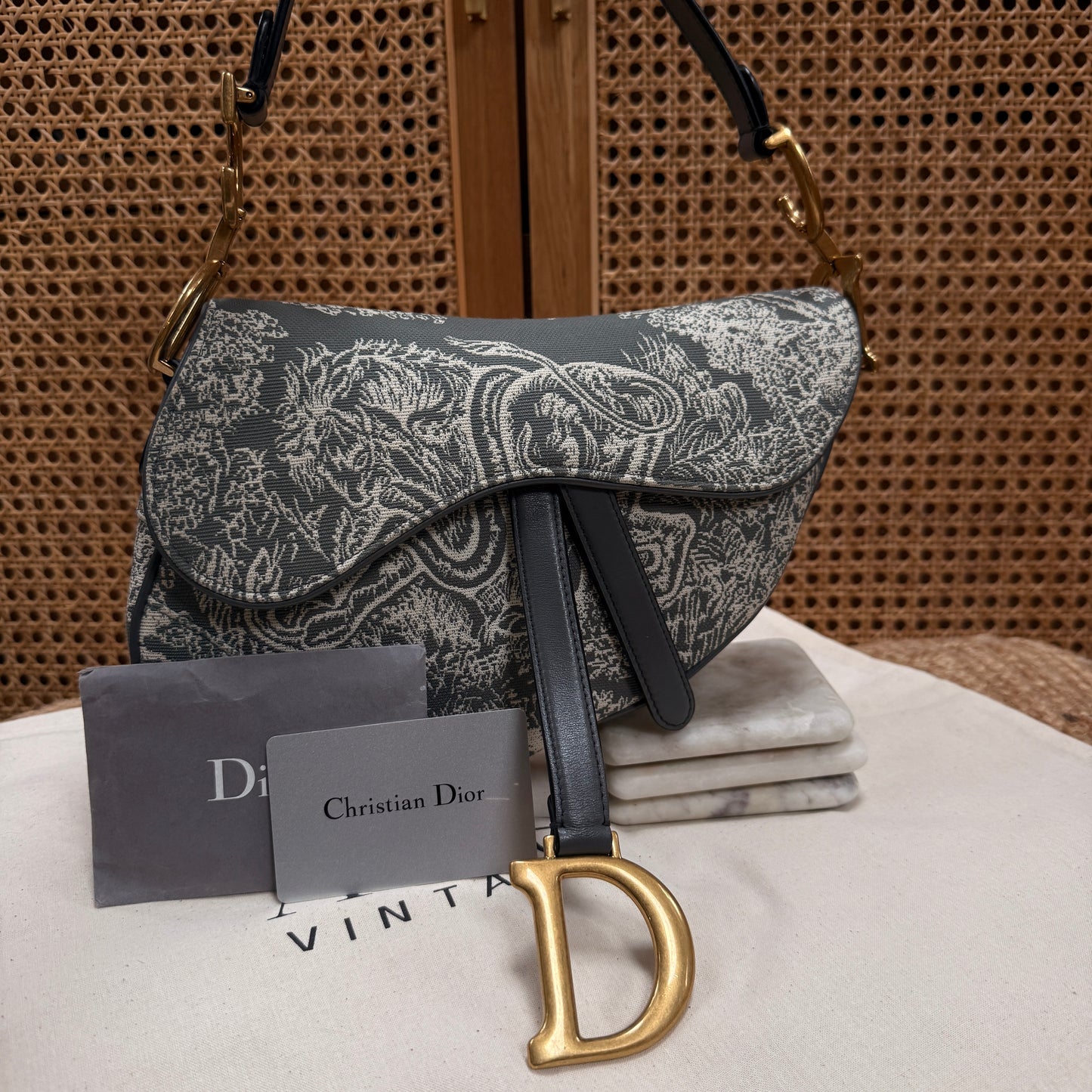 Dior 2021 Saddle Bag in Toile