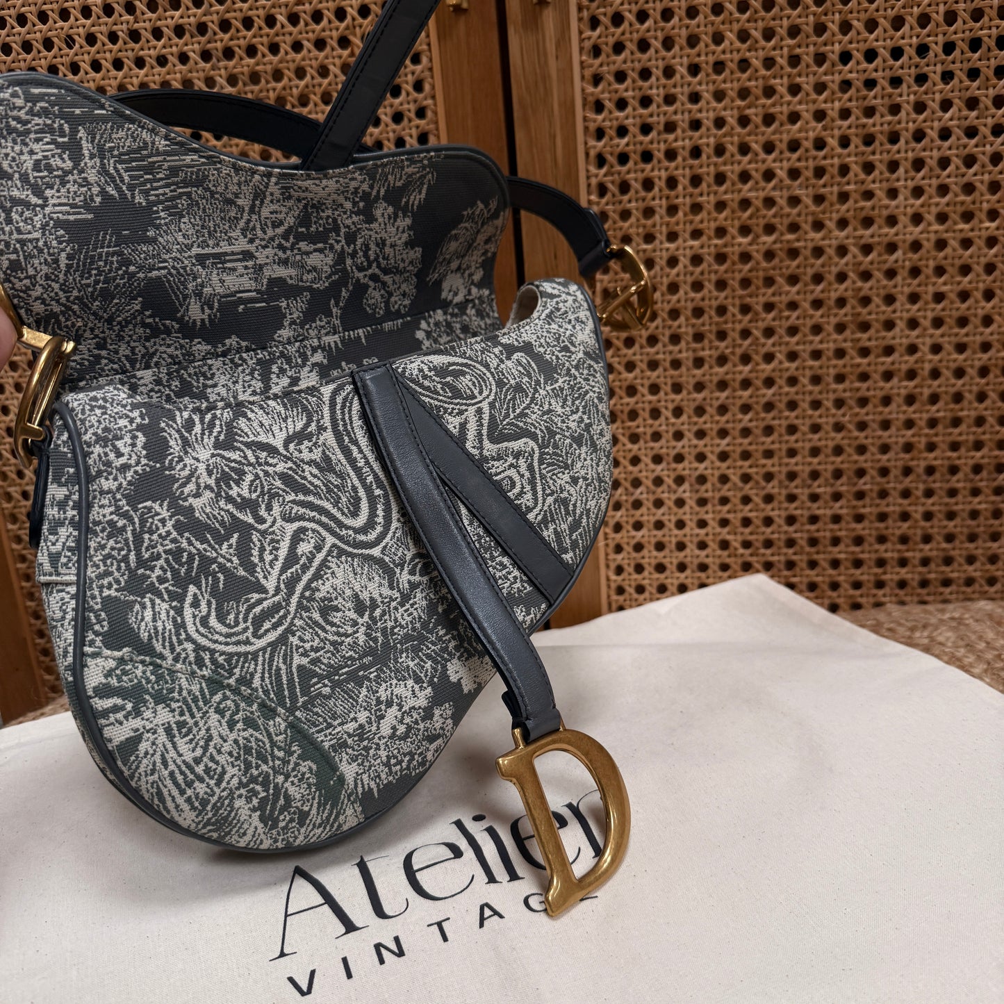 Dior 2021 Saddle Bag in Toile