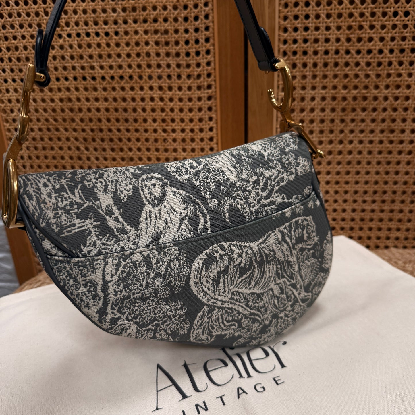 Dior 2021 Saddle Bag in Toile