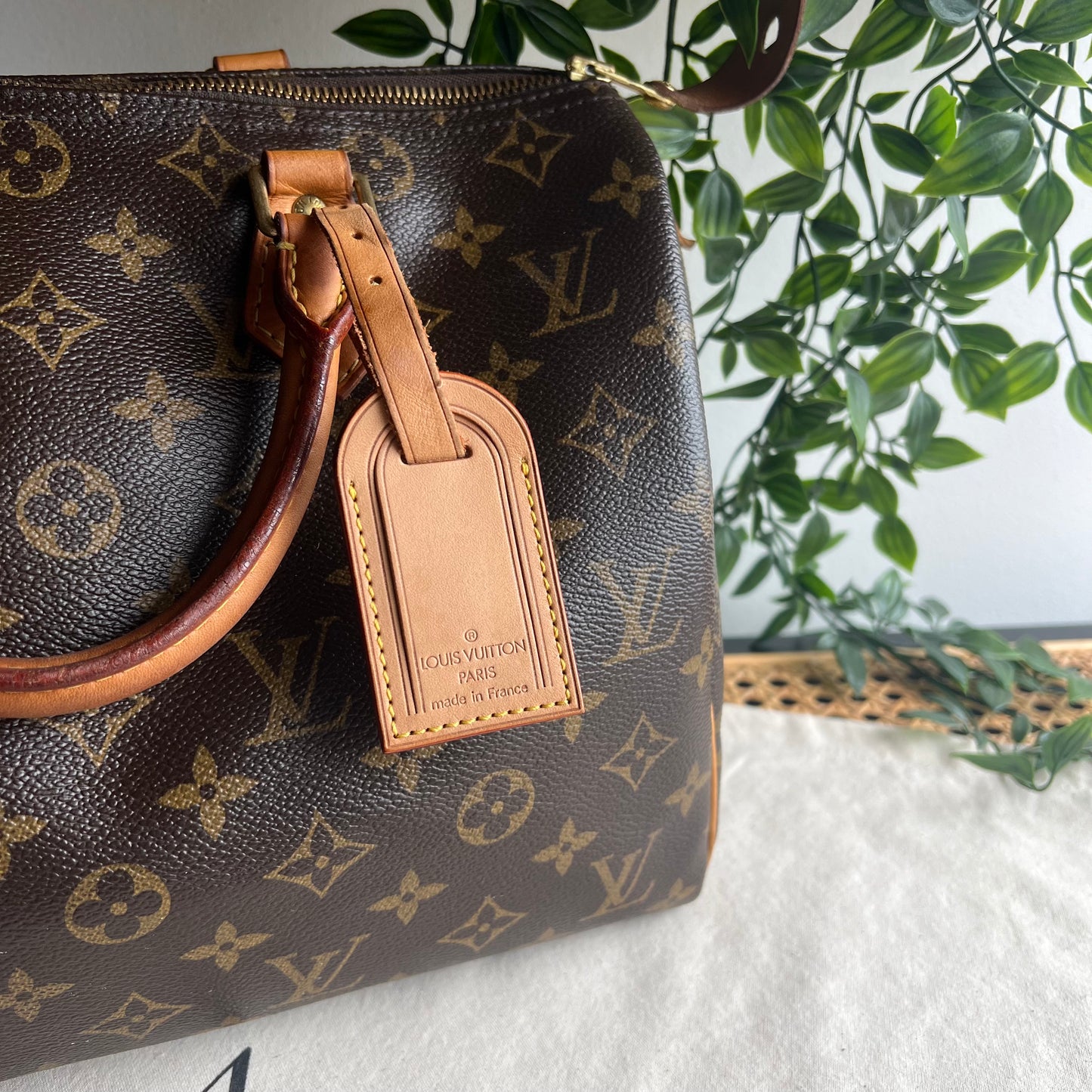 Louis Vuitton Speedy 30