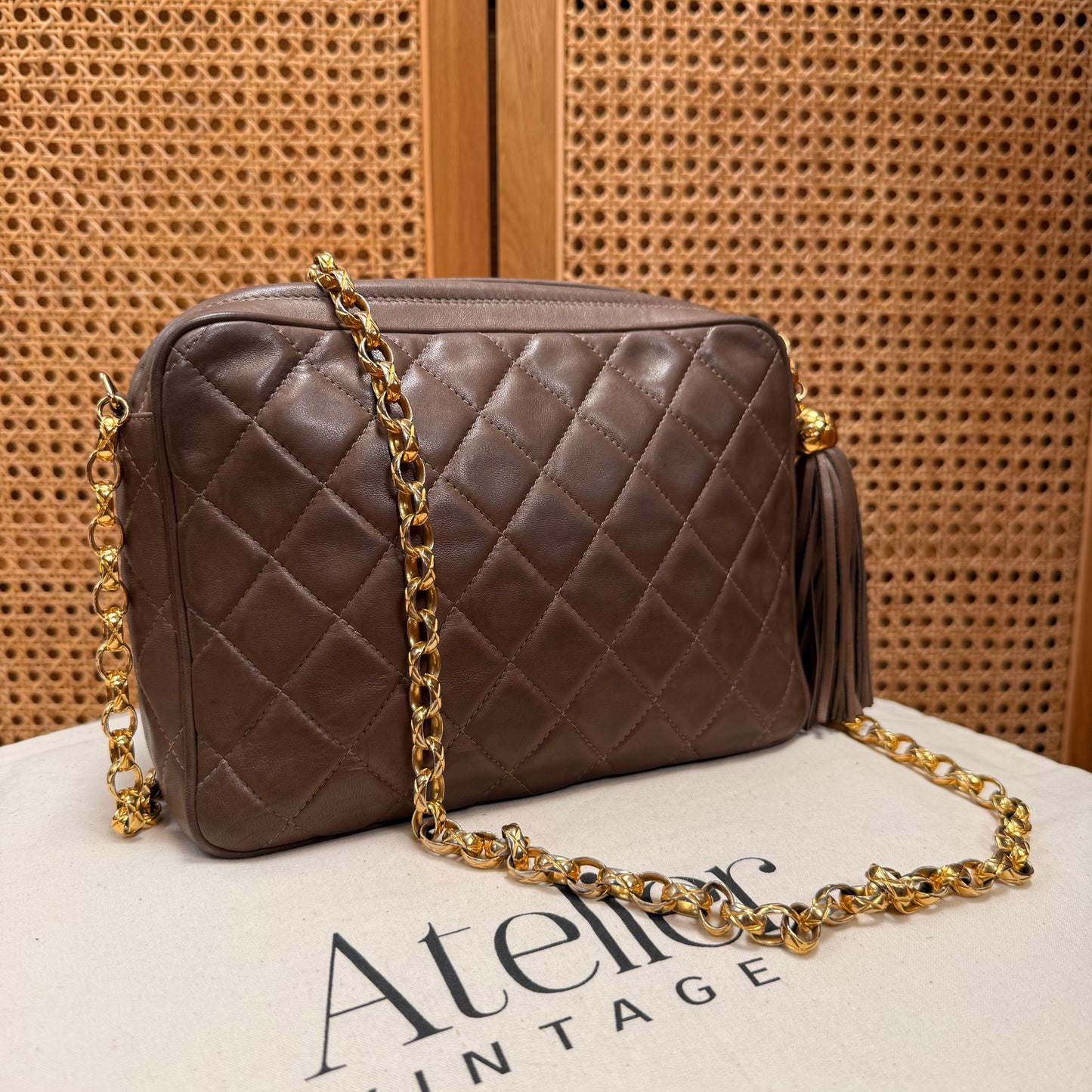 Chanel 1991 Rare CC Camera Bag Bijoux Strap