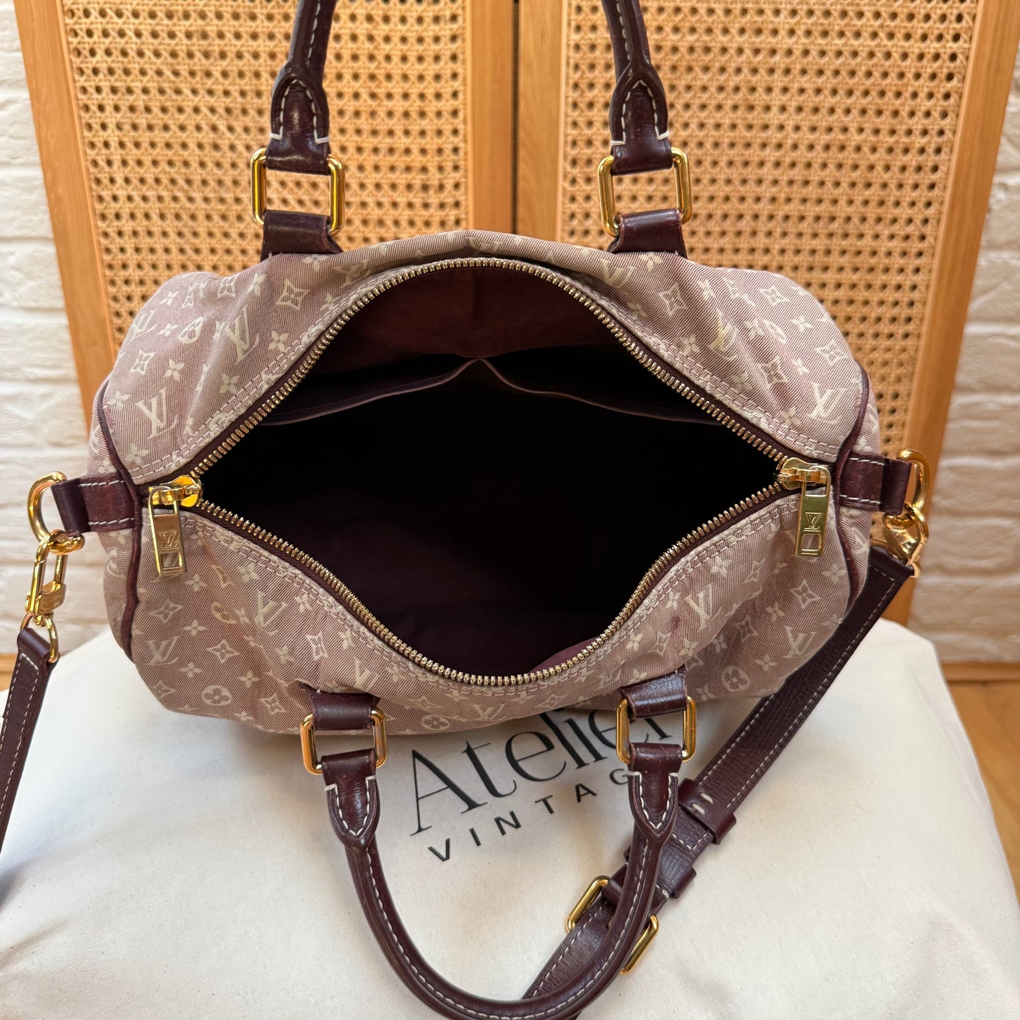 Louis Vuitton Rare 2010 Speedy 30 Bandoulier Idylle