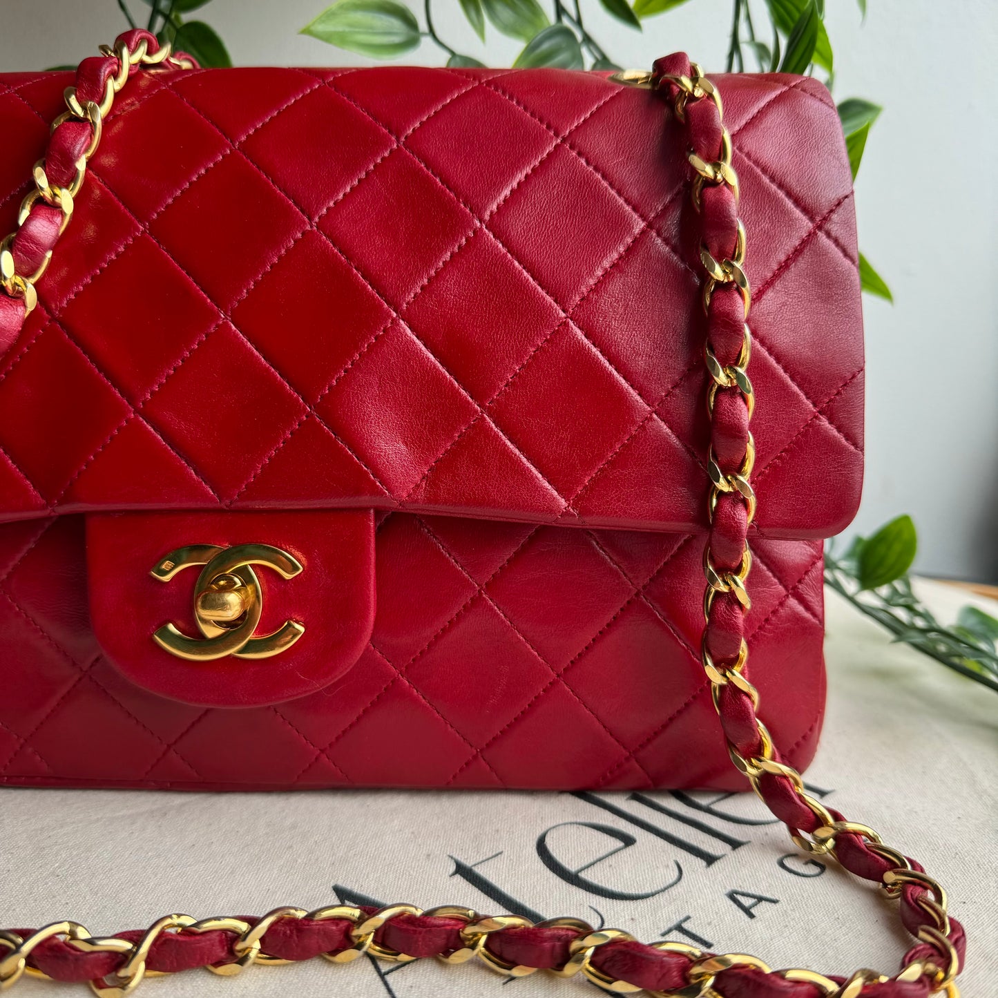 Chanel 1989 Classic Double Flap Medium