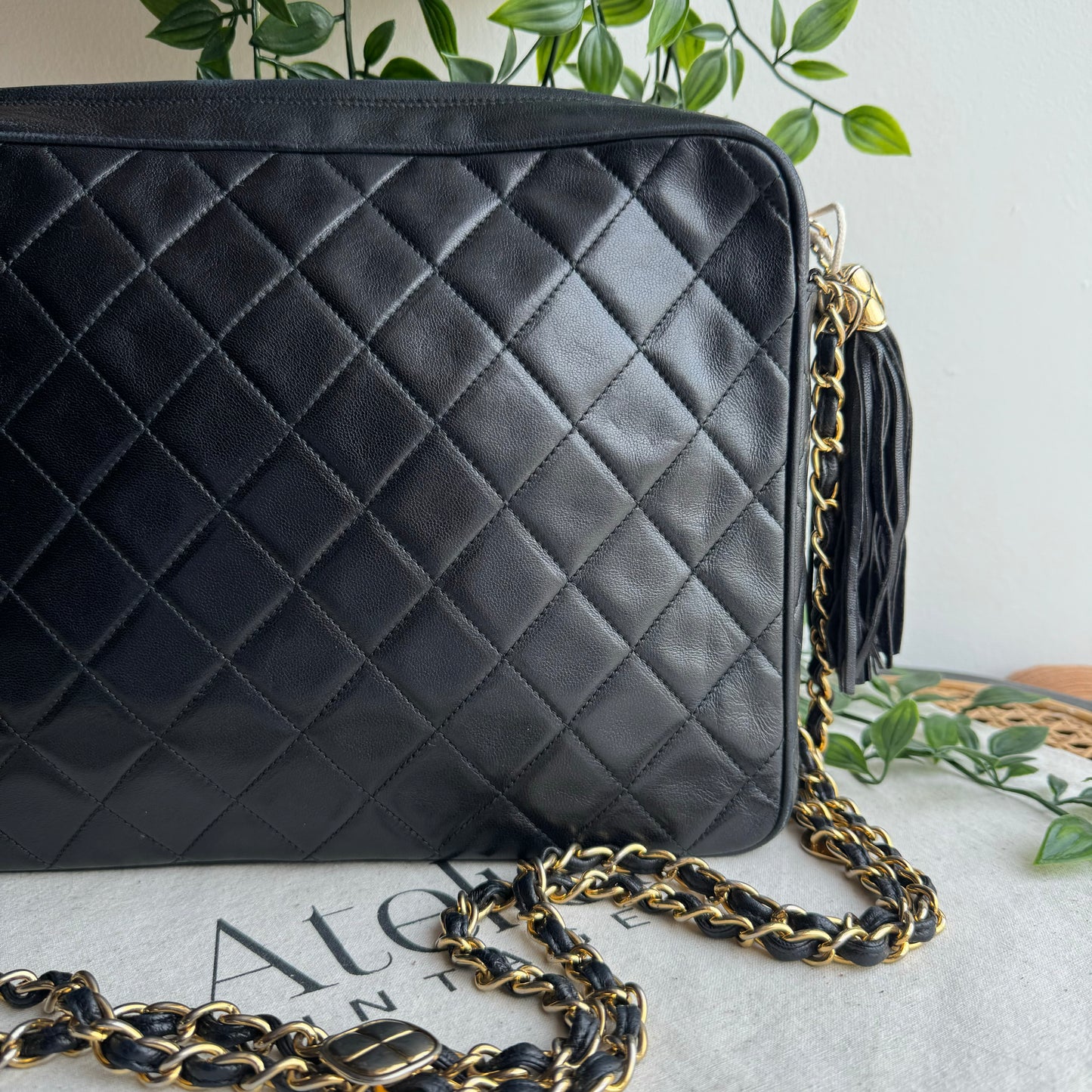 Chanel 1989 Double Chain Camera Bag Tote