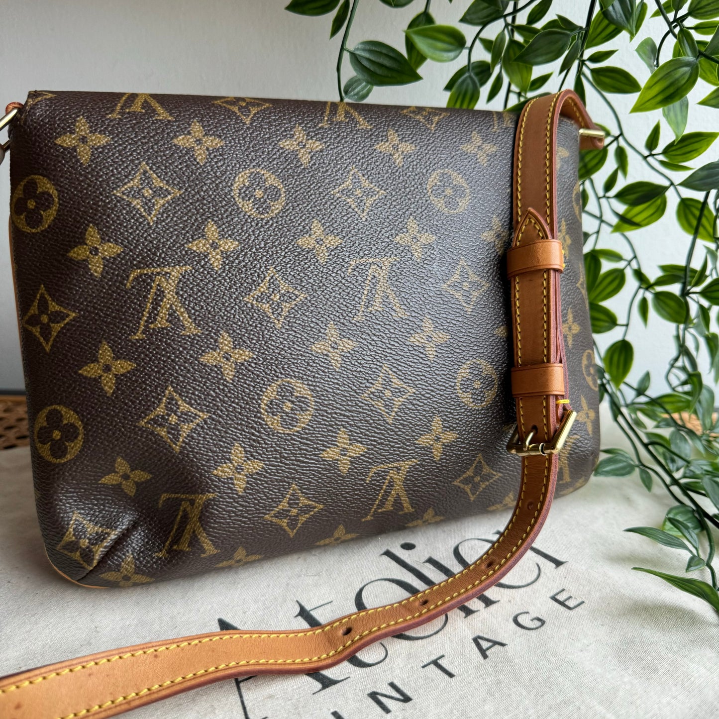Louis Vuitton Musette Tango Shoulder Bag