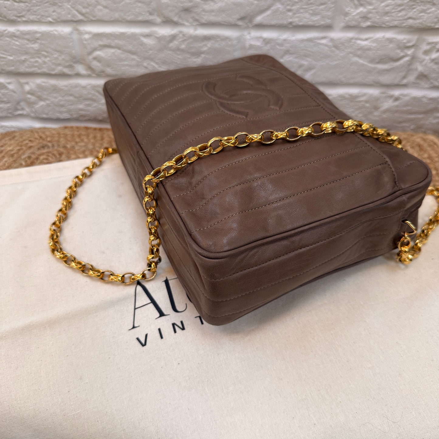 Chanel Rare 1980s Mademoiselle Camera Bag with Bijoux chain in Taupe