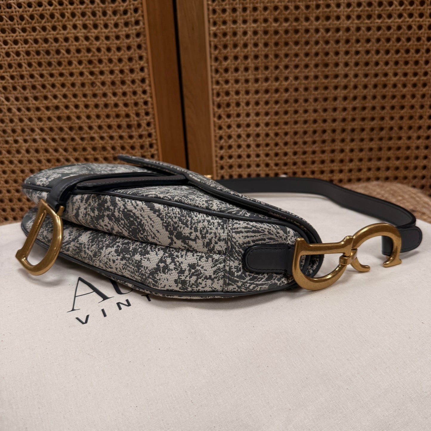 Dior 2021 Saddle Bag in Toile