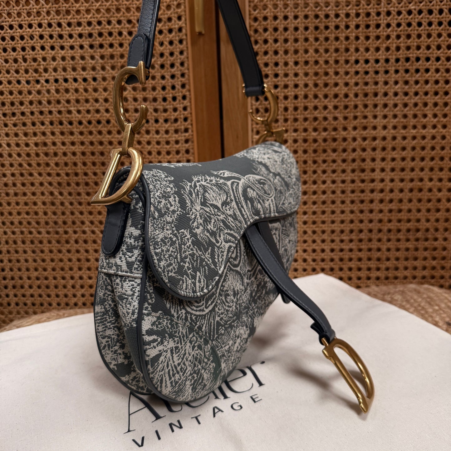 Dior 2021 Saddle Bag in Toile