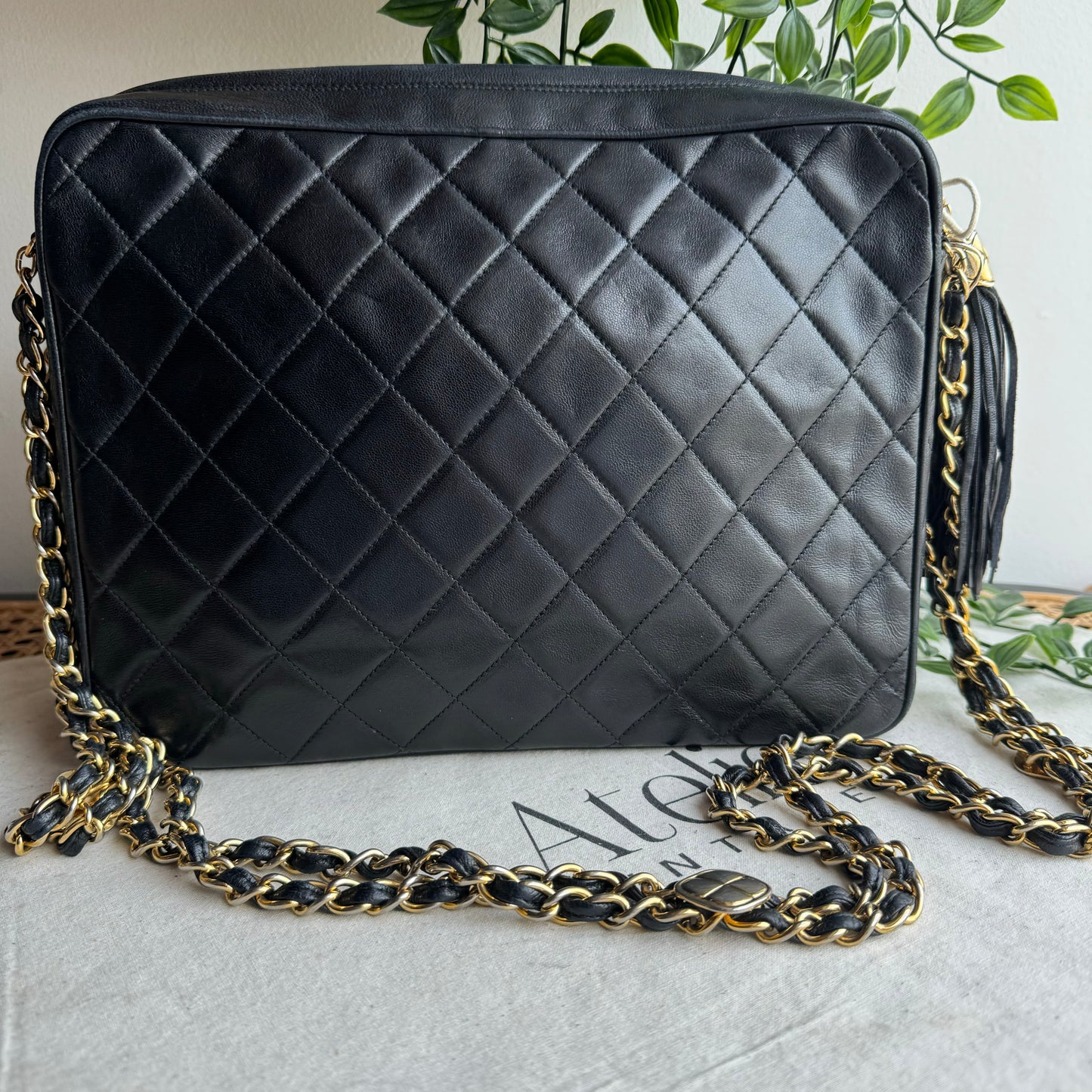 Chanel 1989 Double Chain Camera Bag Tote