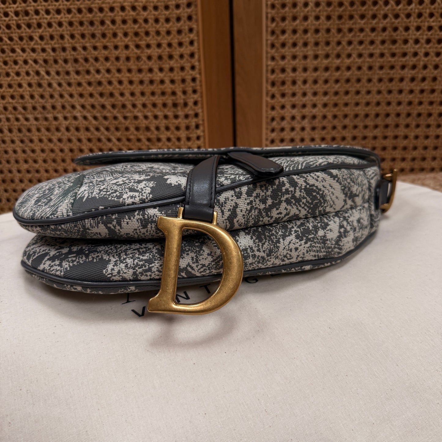 Dior 2021 Saddle Bag in Toile