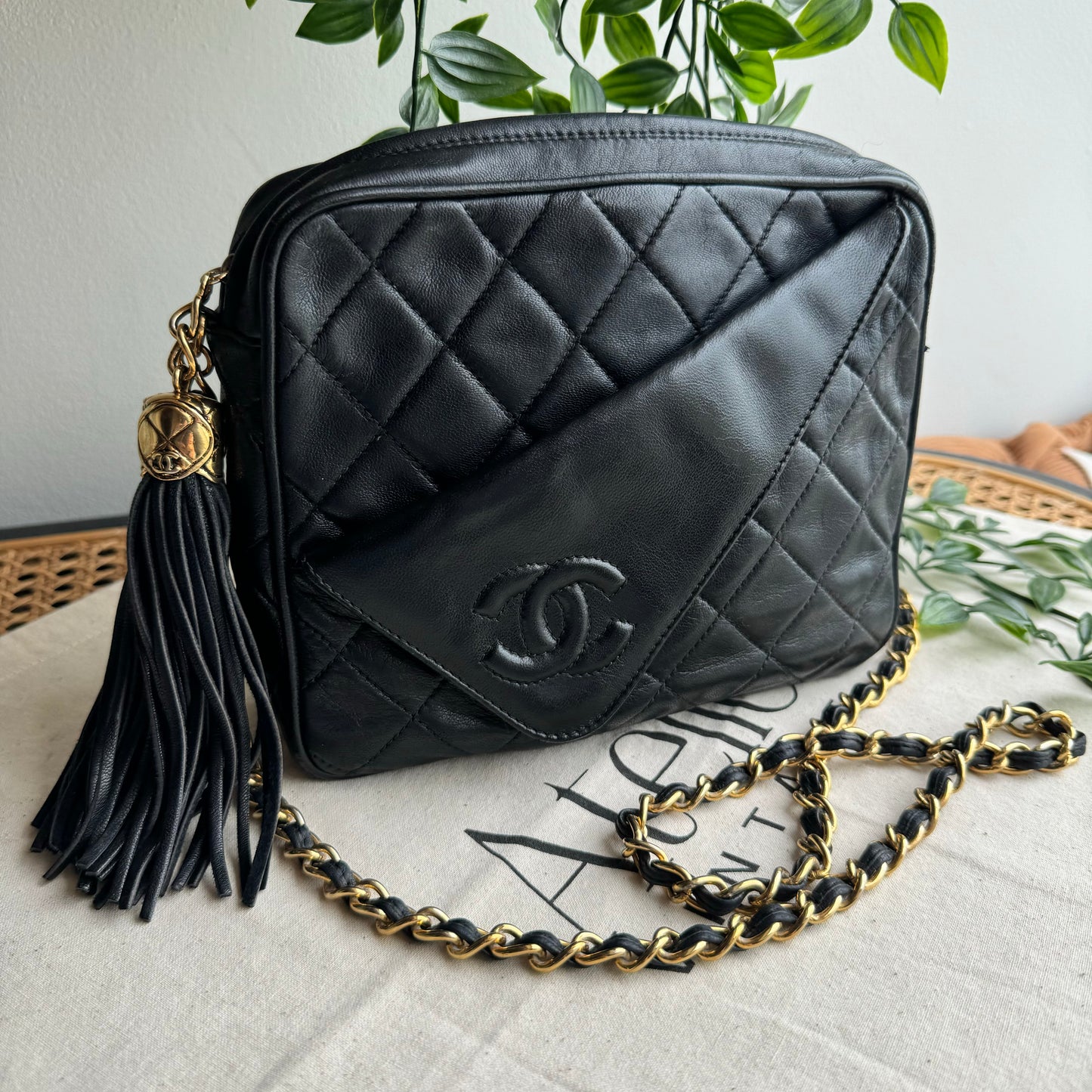 Chanel 1989 Vintage Tassel Camera Bag