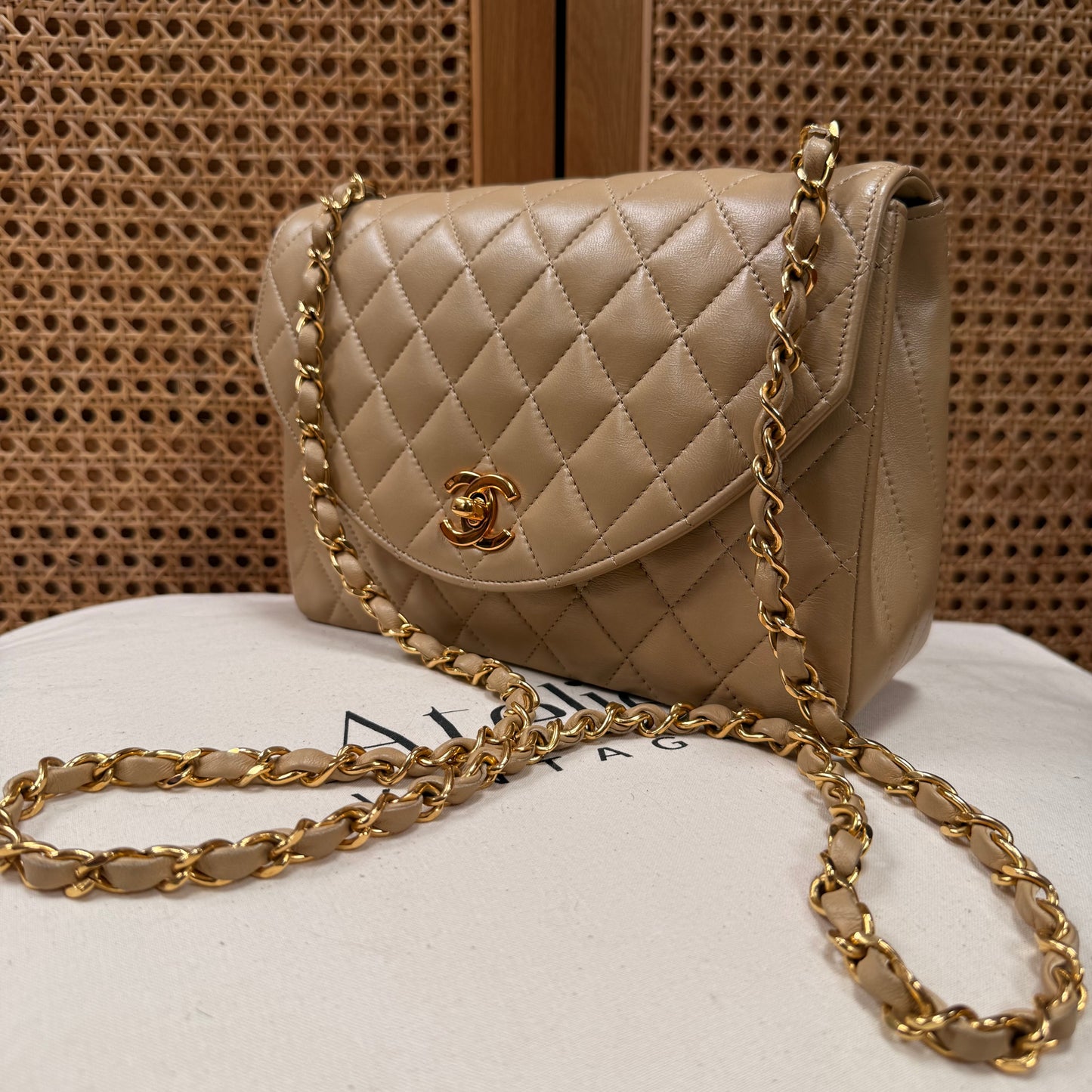 Chanel 1989 Rare Half Moon Single Flap in Dark Beige