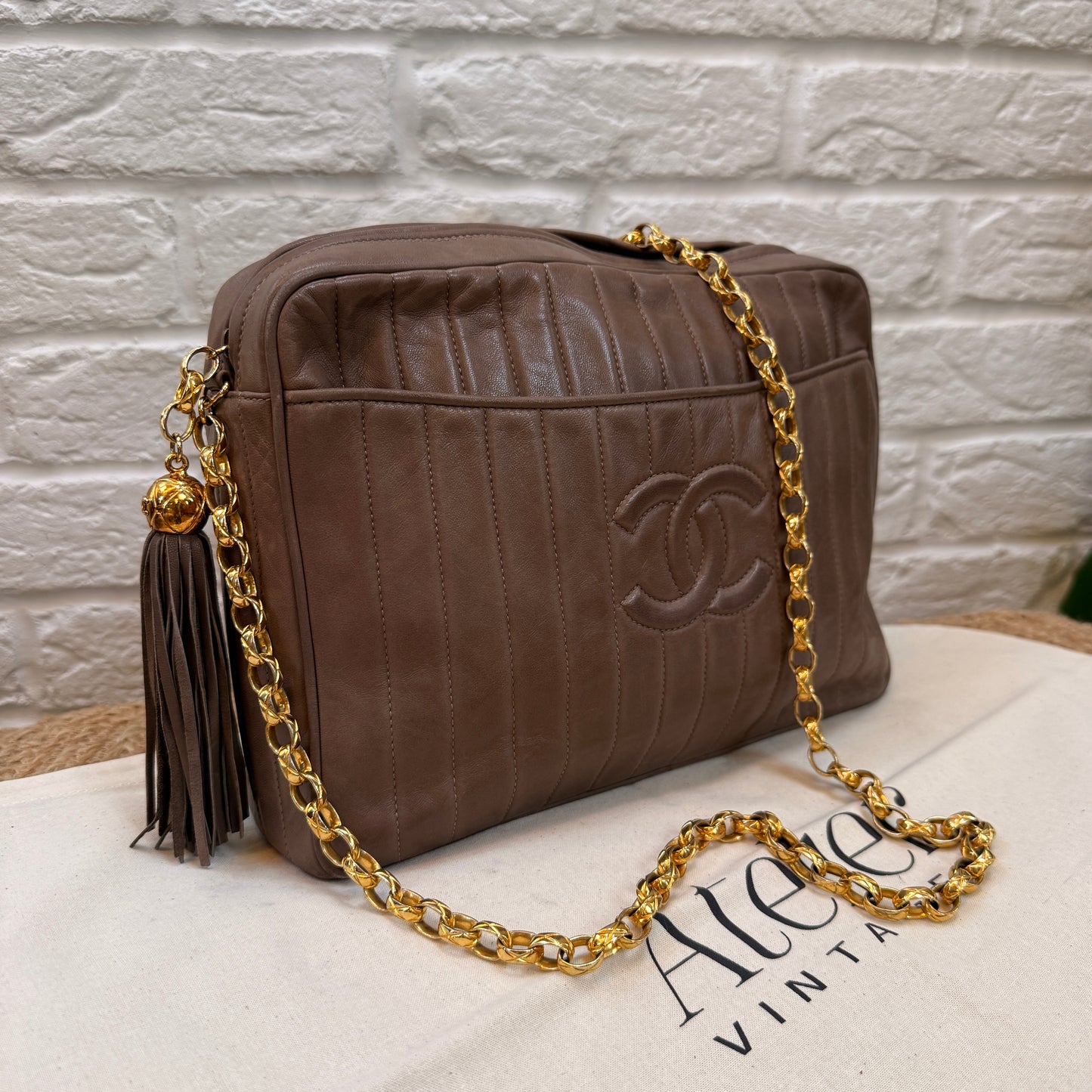 Chanel Rare 1980s Mademoiselle Camera Bag with Bijoux chain in Taupe