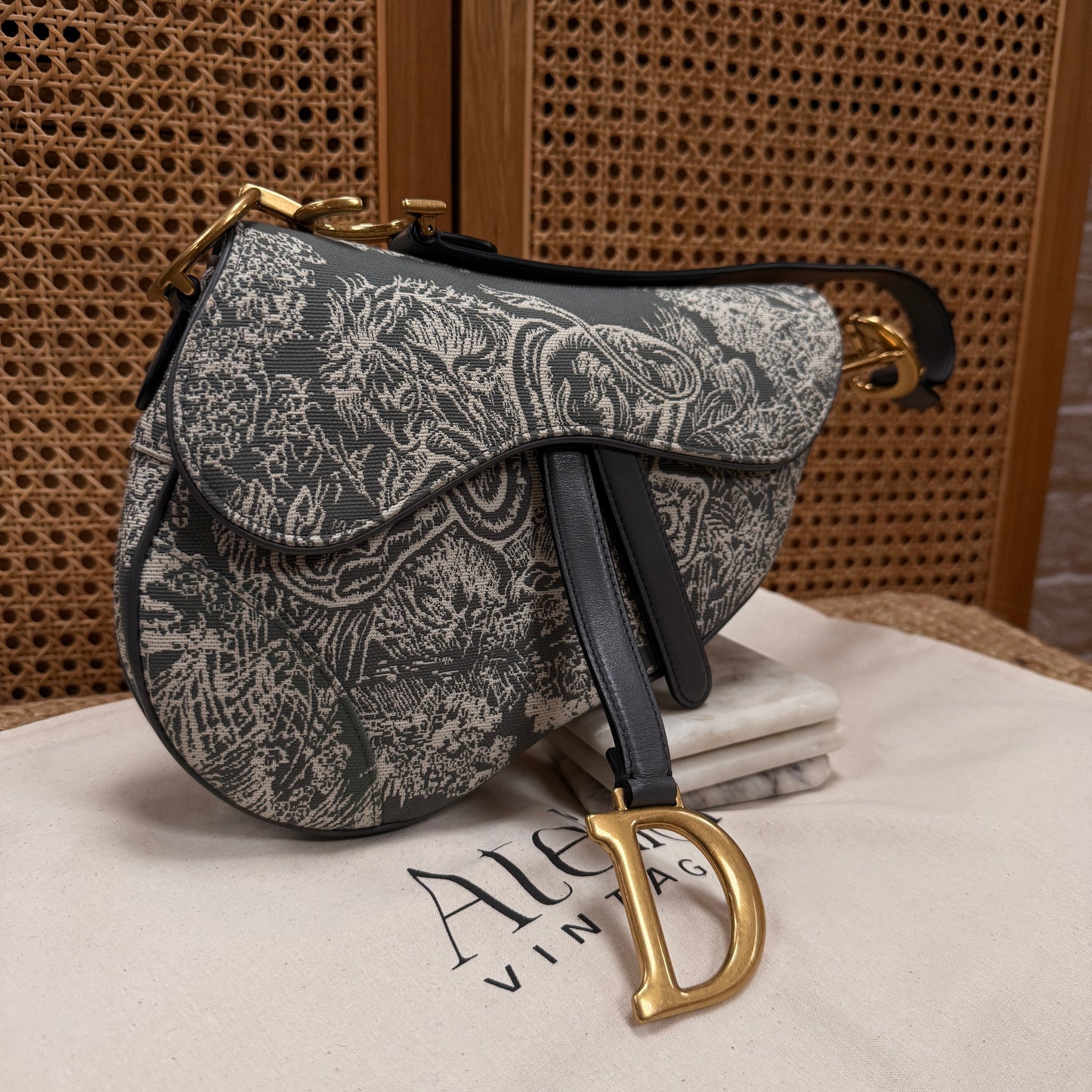 Dior 2021 Saddle Bag in Toile