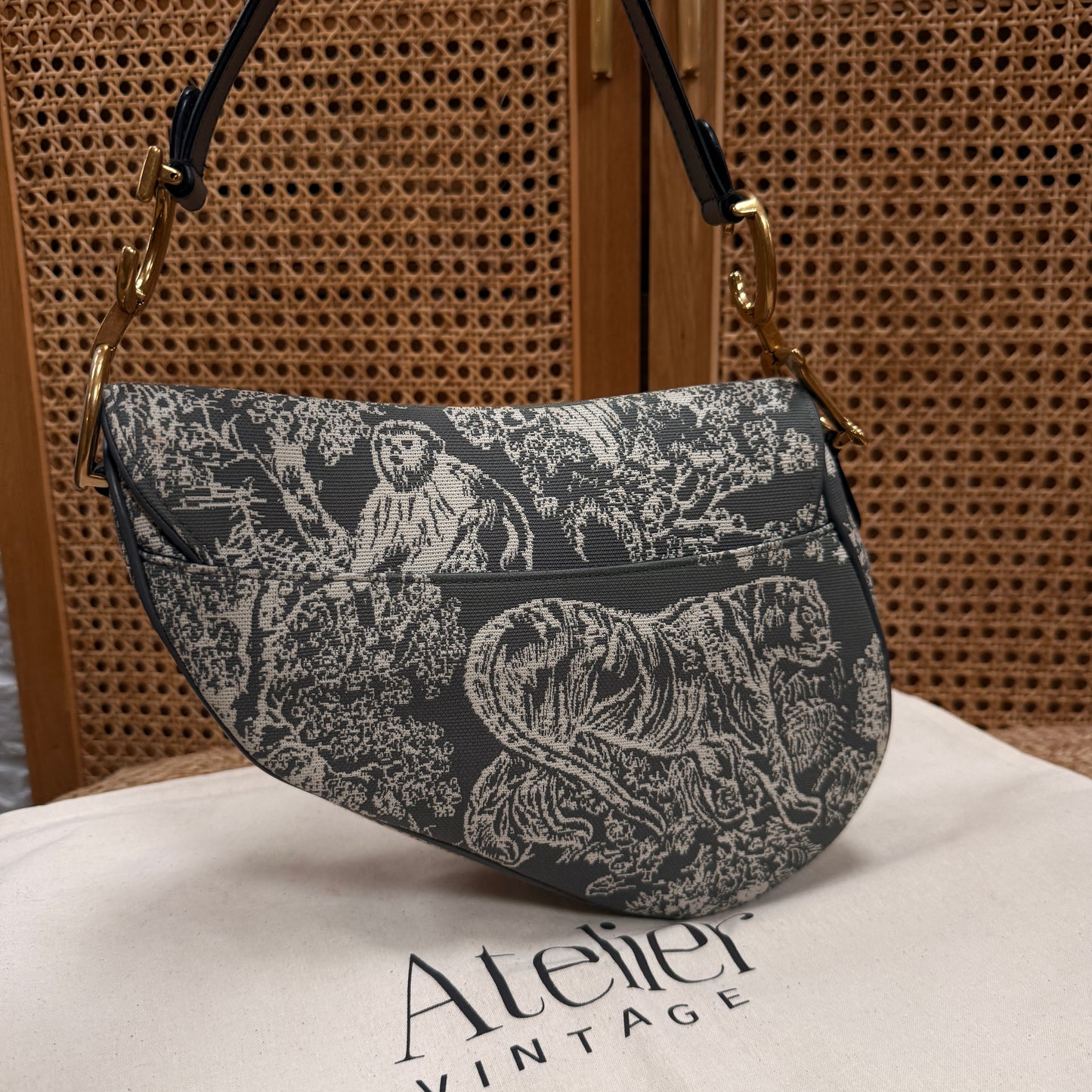 Dior 2021 Saddle Bag in Toile