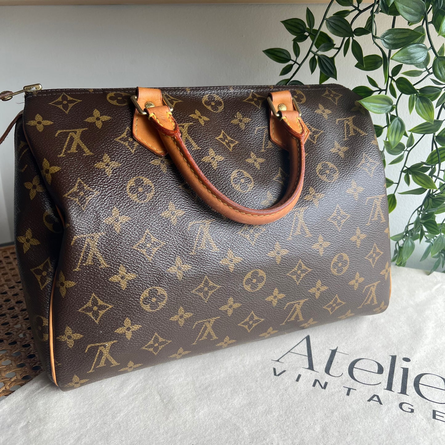 Louis Vuitton Speedy 30