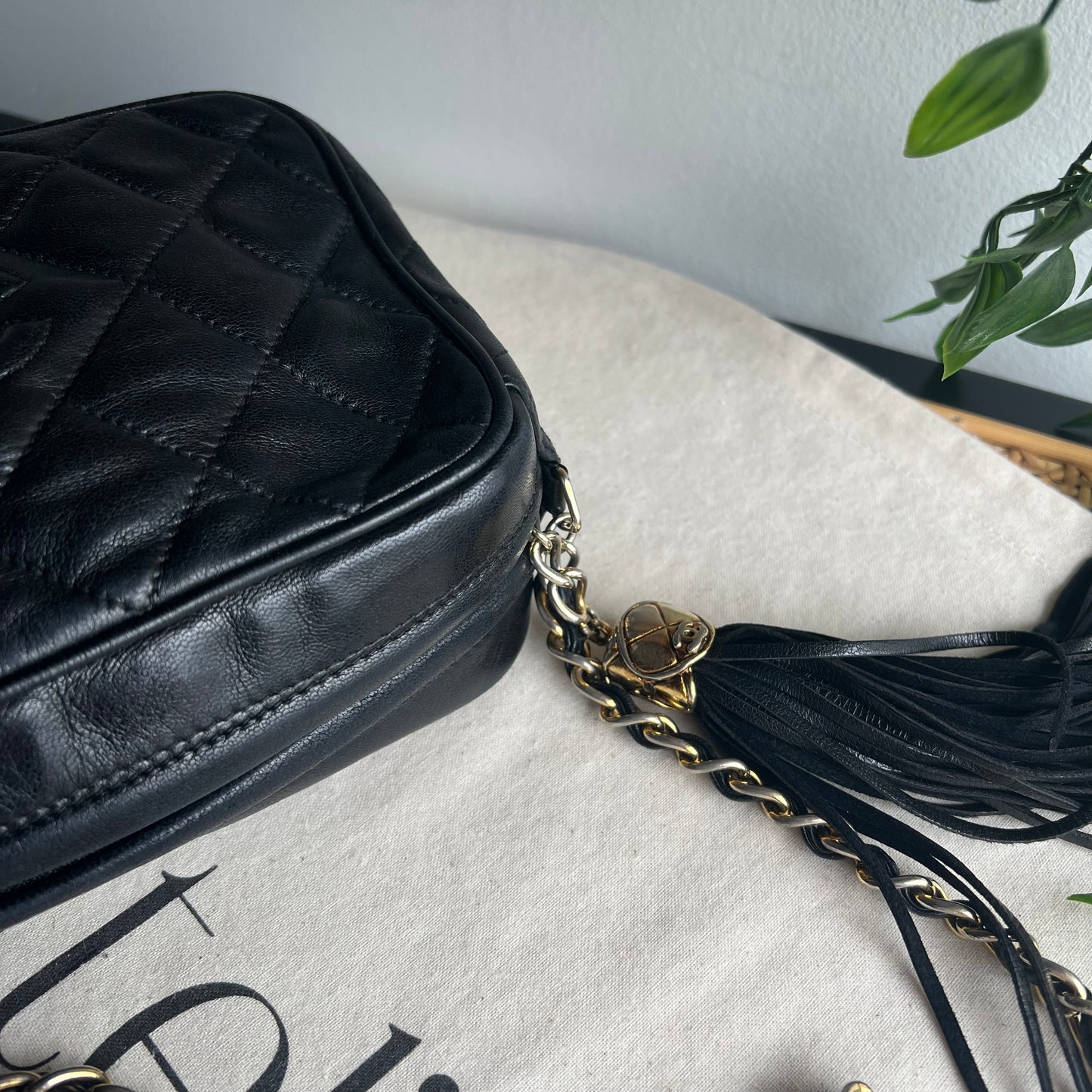 Chanel 1989 Vintage Tassel Camera Bag