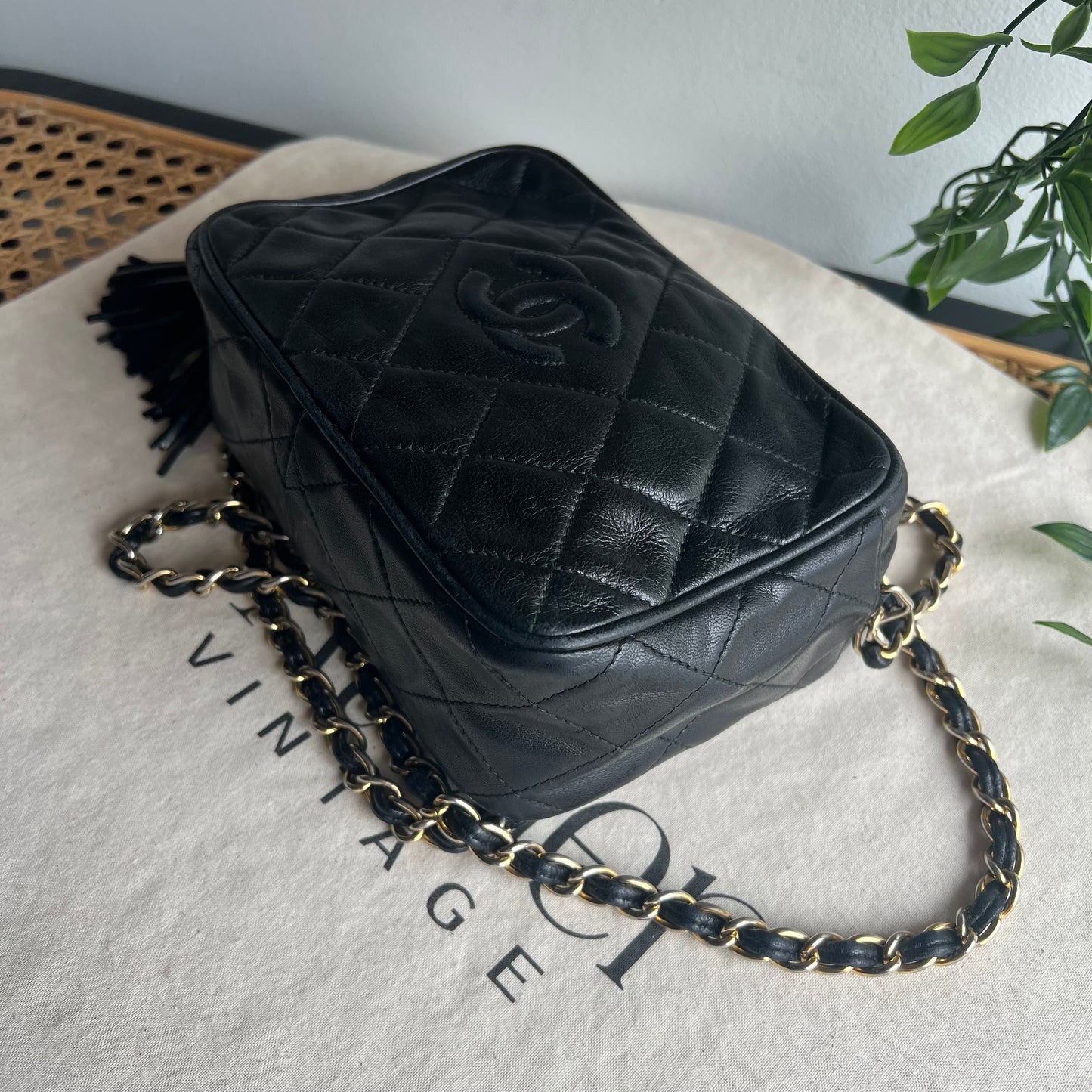 Chanel 1989 Vintage Tassel Camera Bag