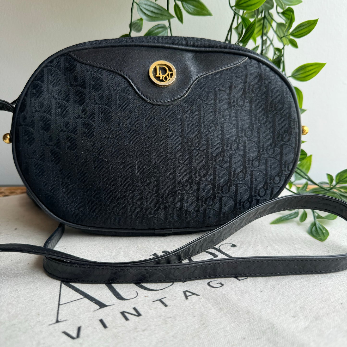 Dior 1980s Trotter Canvas Bag