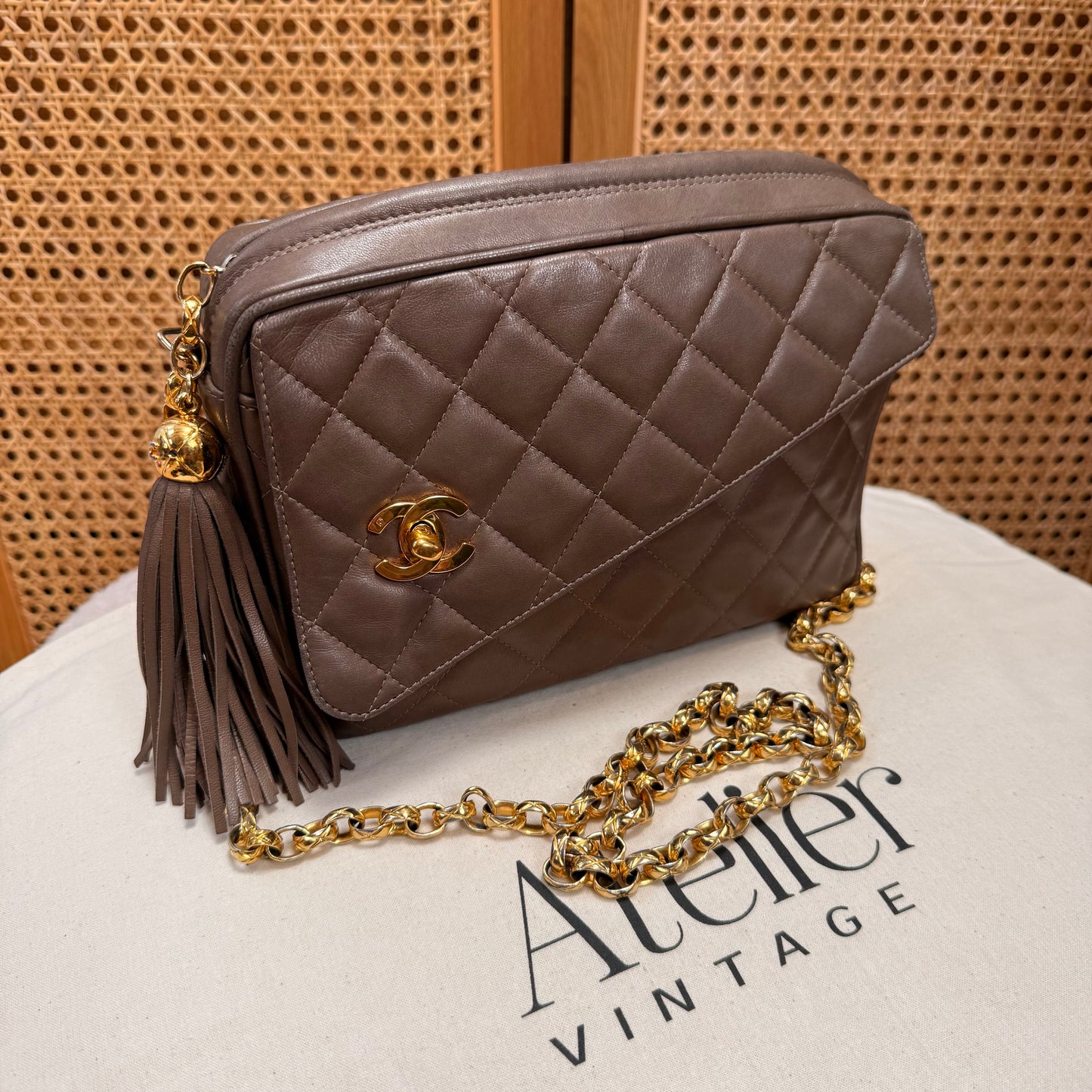 Chanel 1991 Rare CC Camera Bag Bijoux Strap