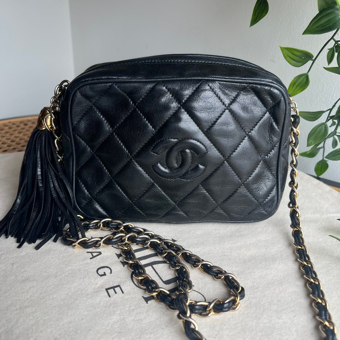 Chanel 1989 Vintage Tassel Camera Bag