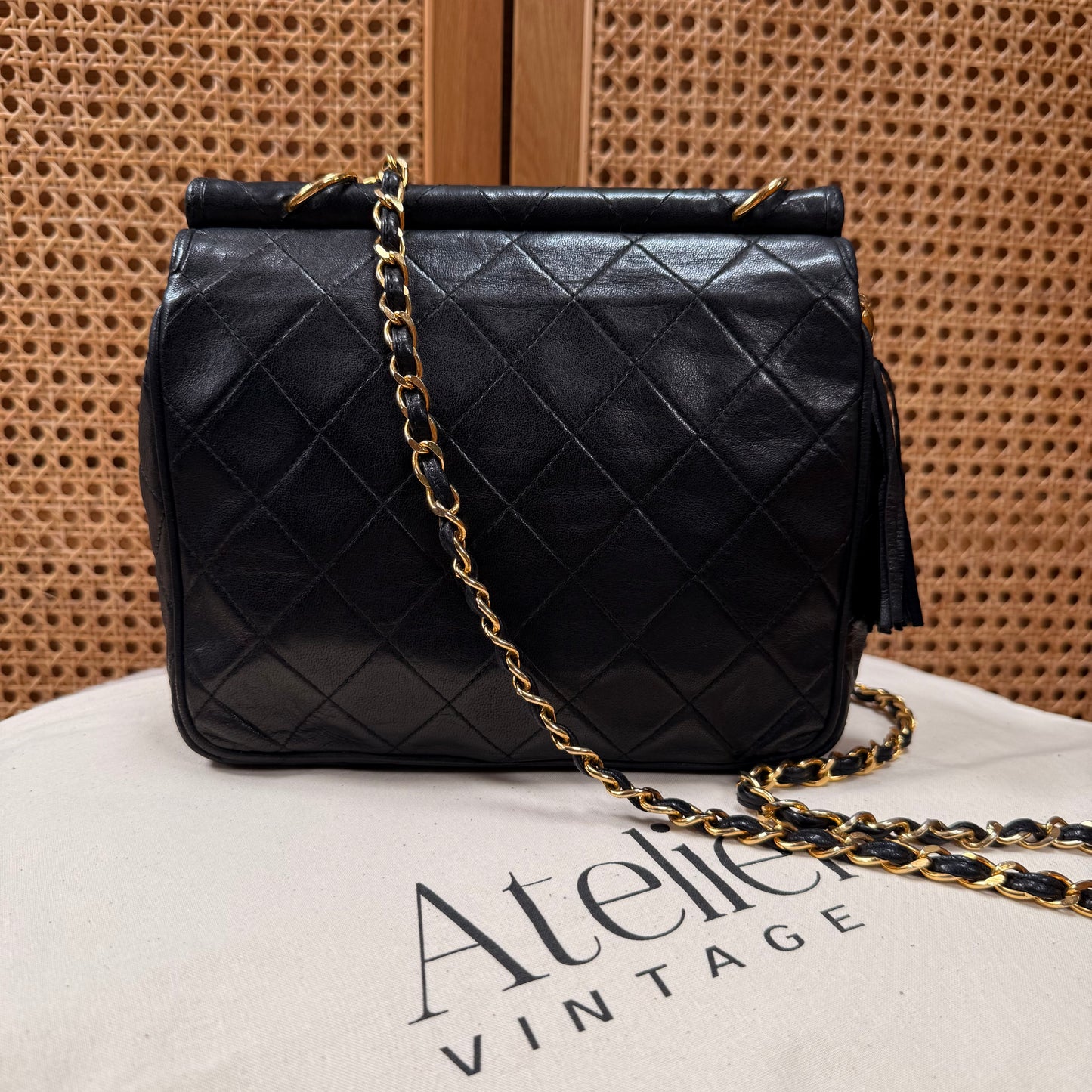 Chanel Rare 1989 Envelope Camera Style Tassel Bag