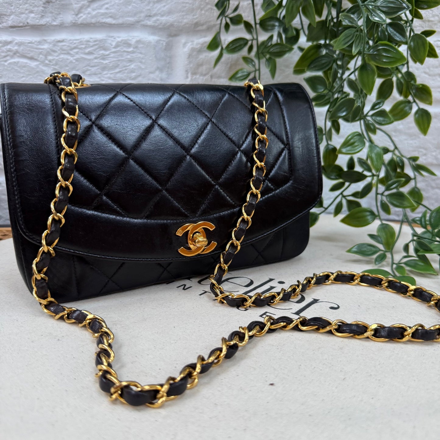 Chanel 1994 Vintage Classic Diana Small