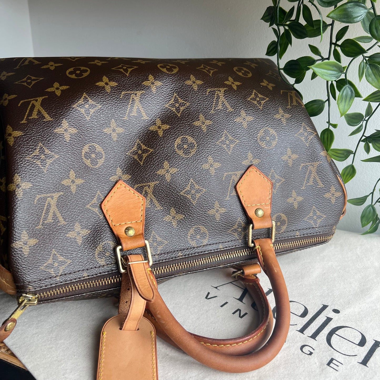 Louis Vuitton Speedy 30