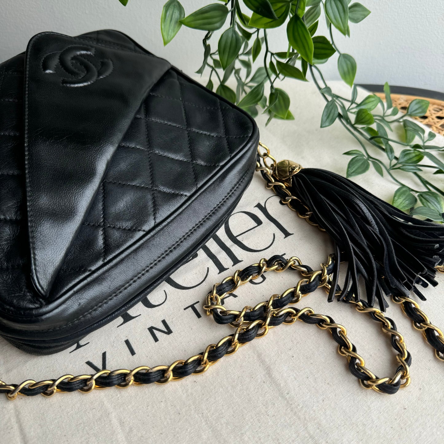 Chanel 1989 Vintage Tassel Camera Bag