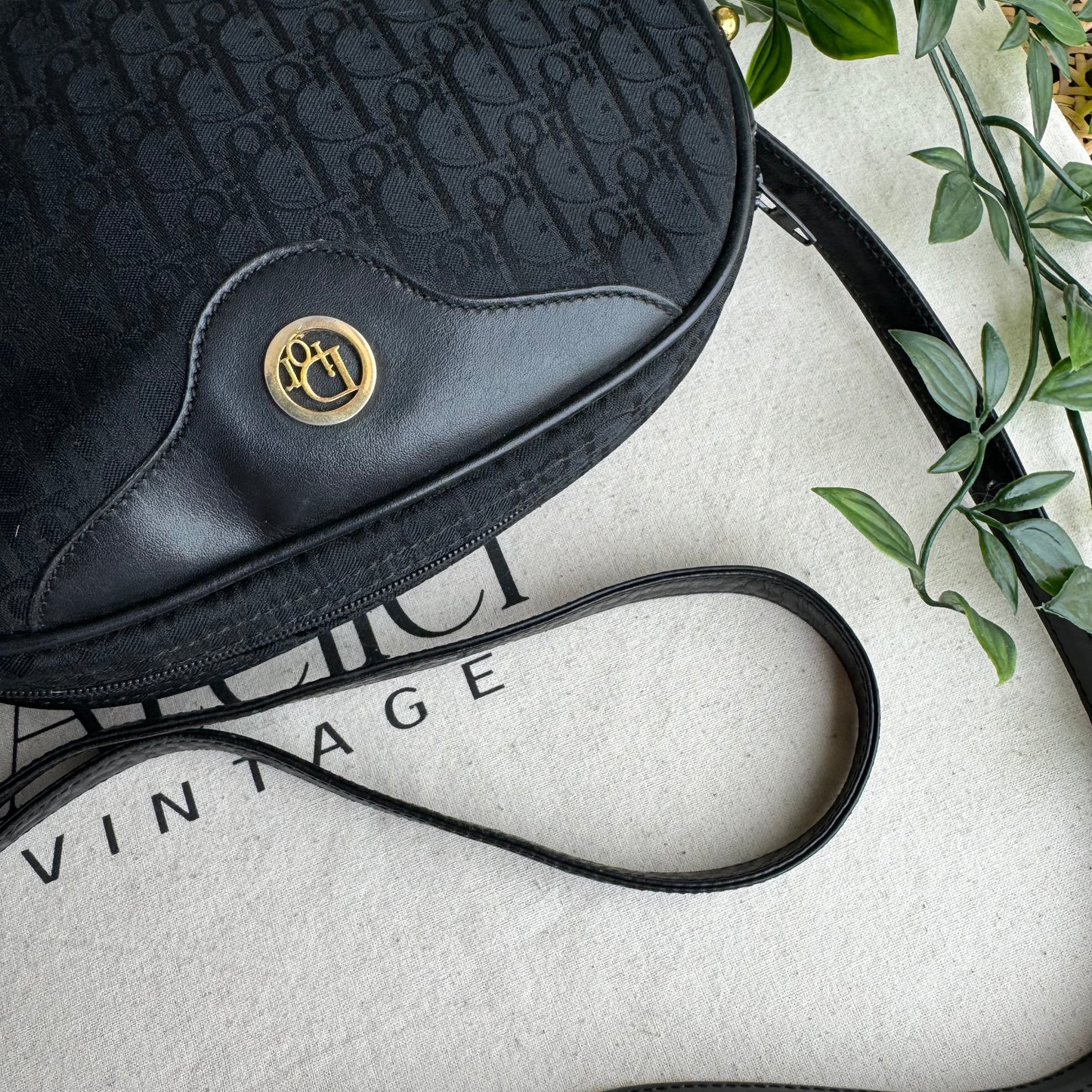 Dior 1980s Trotter Canvas Bag