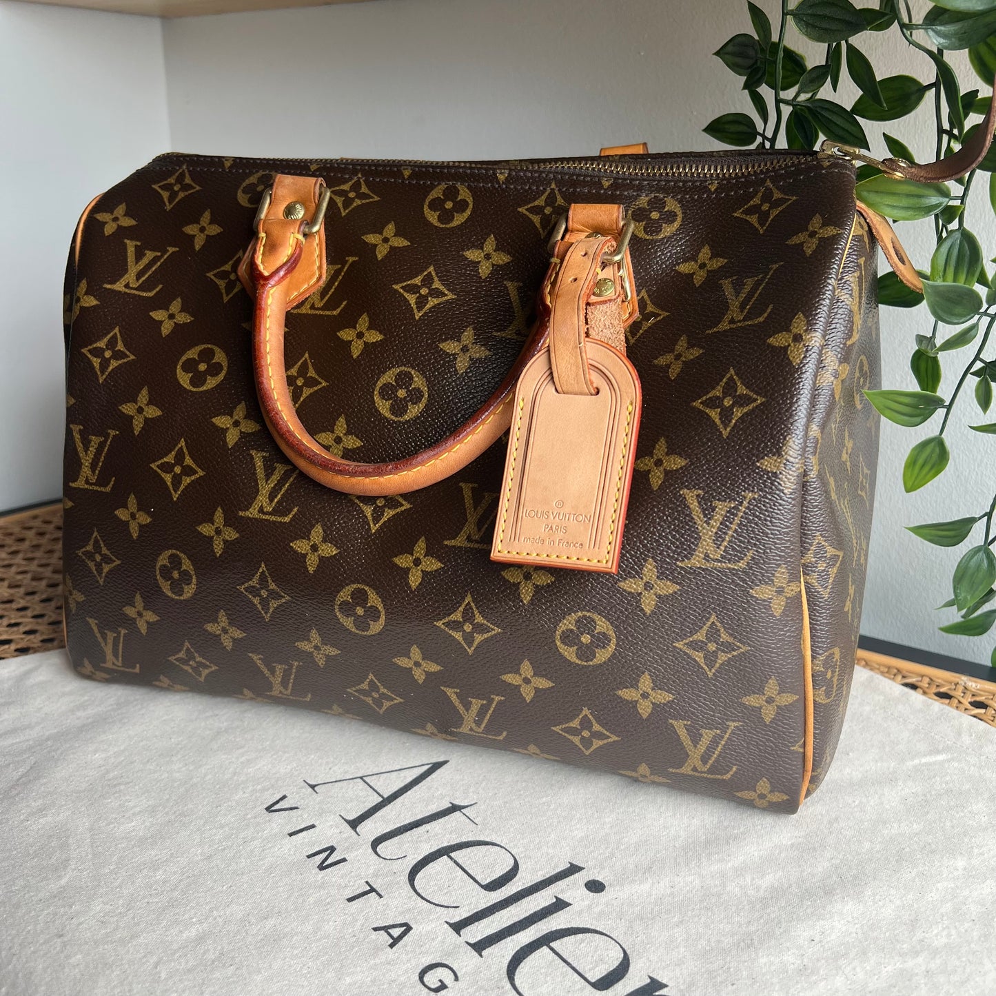 Louis Vuitton Speedy 30