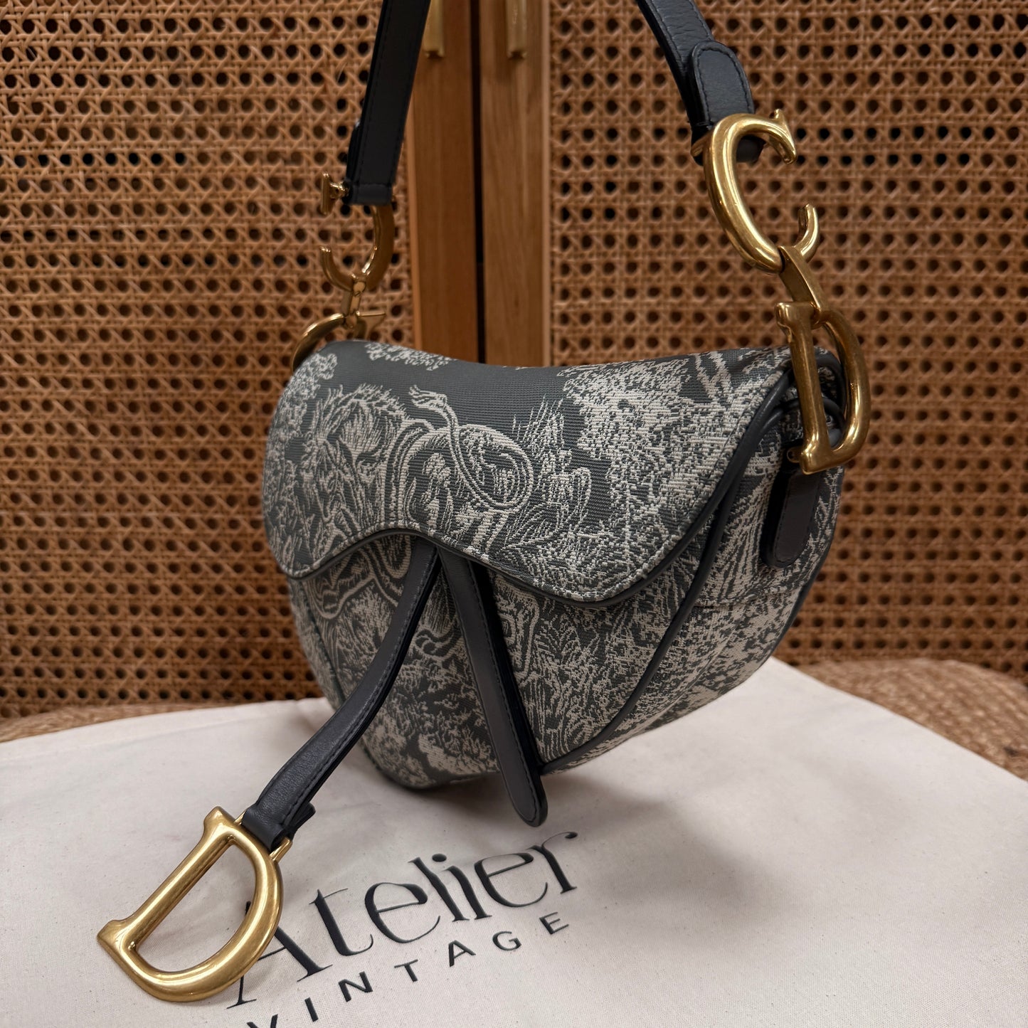 Dior 2021 Saddle Bag in Toile