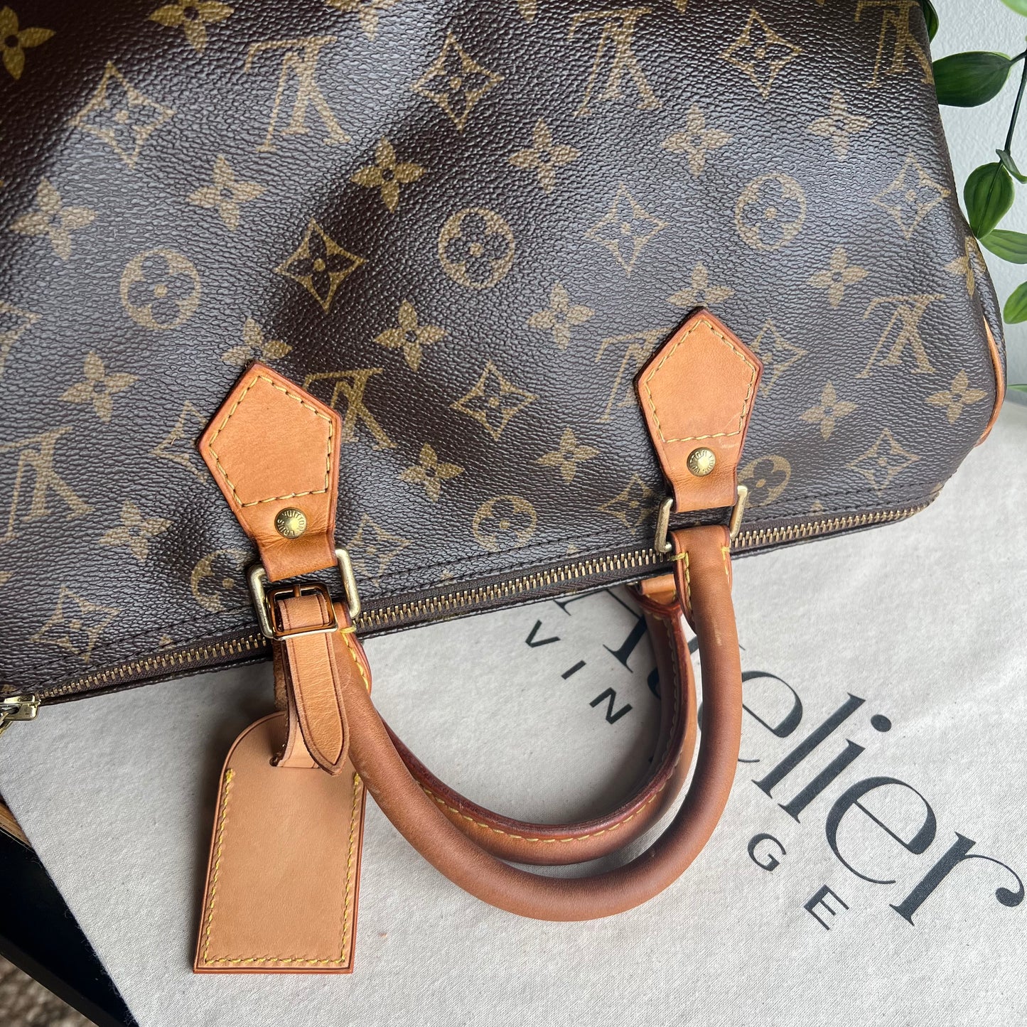 Louis Vuitton Speedy 30