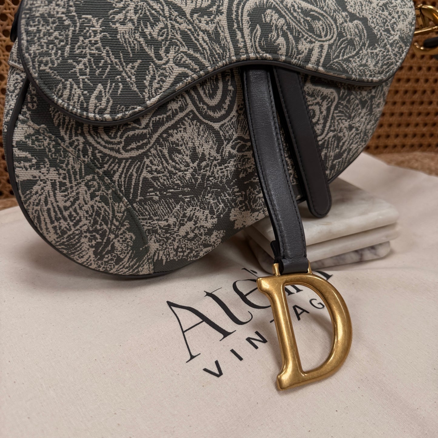 Dior 2021 Saddle Bag in Toile