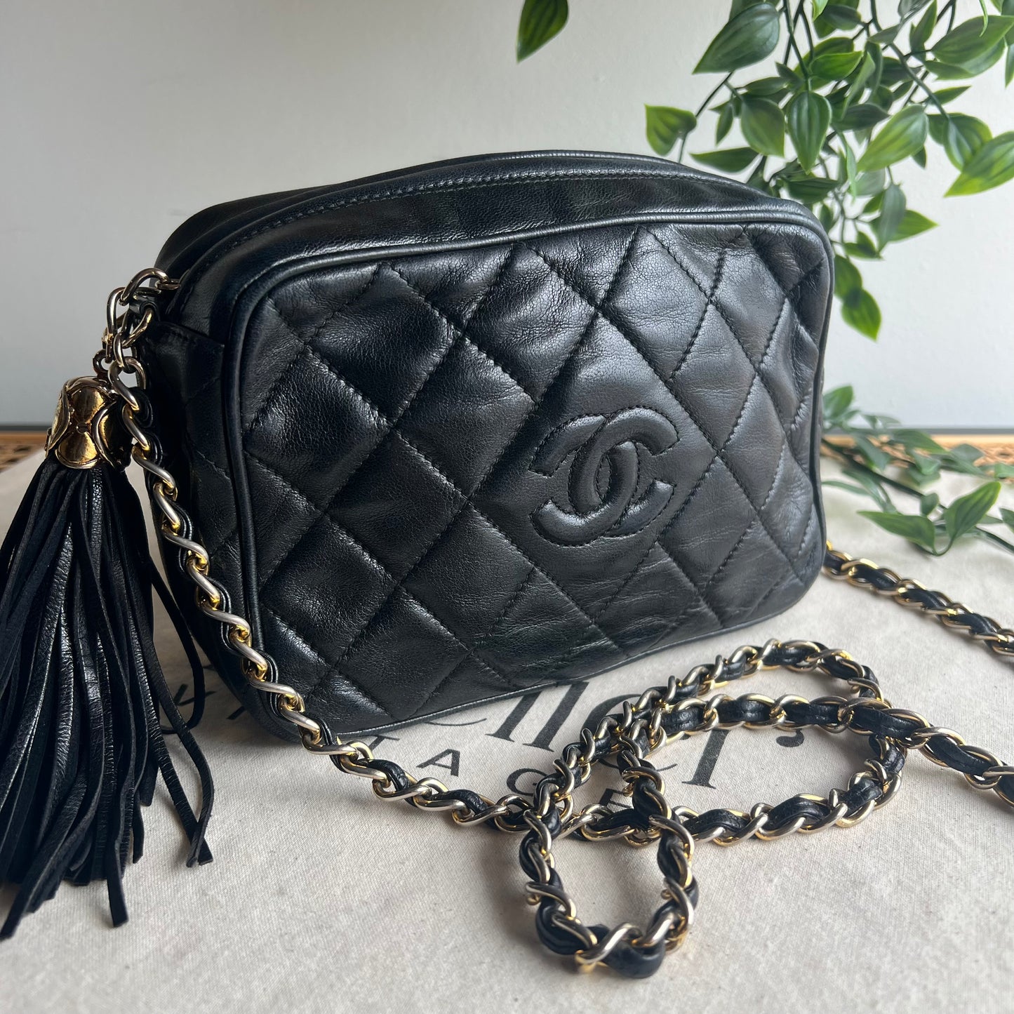 Chanel 1989 Vintage Tassel Camera Bag