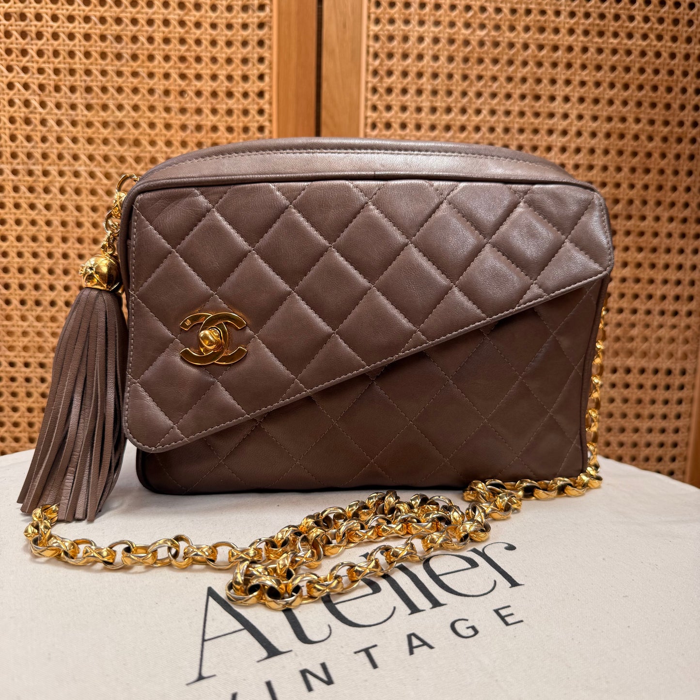 Chanel 1991 Rare CC Camera Bag Bijoux Strap
