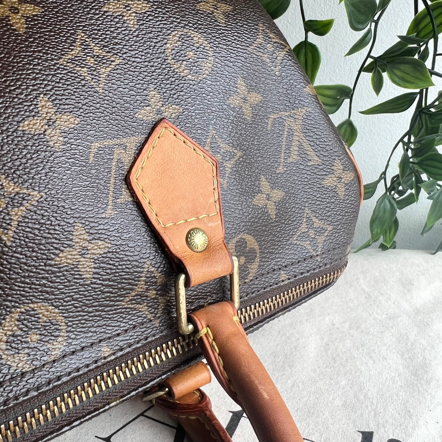 Louis Vuitton Speedy 30