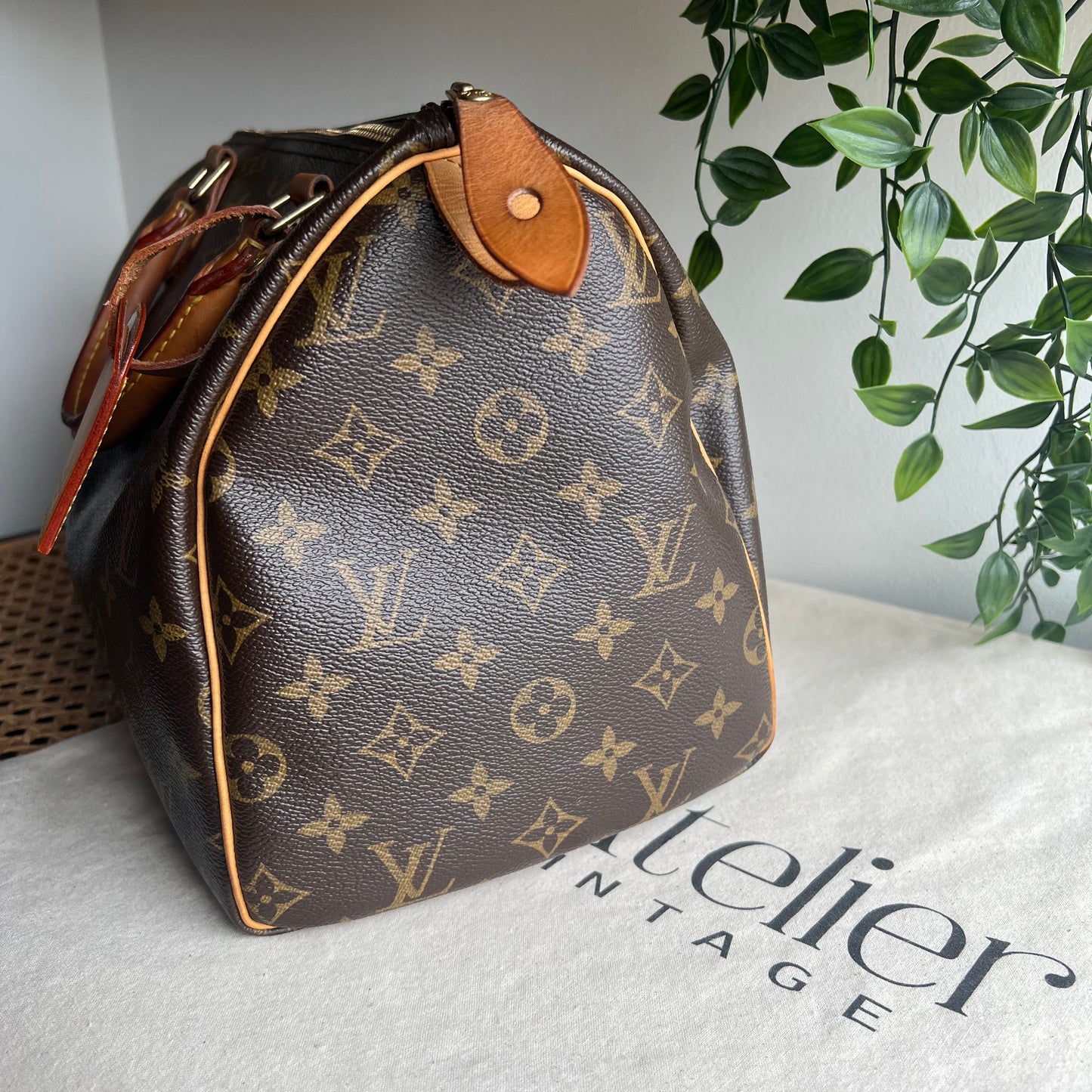 Louis Vuitton Speedy 30