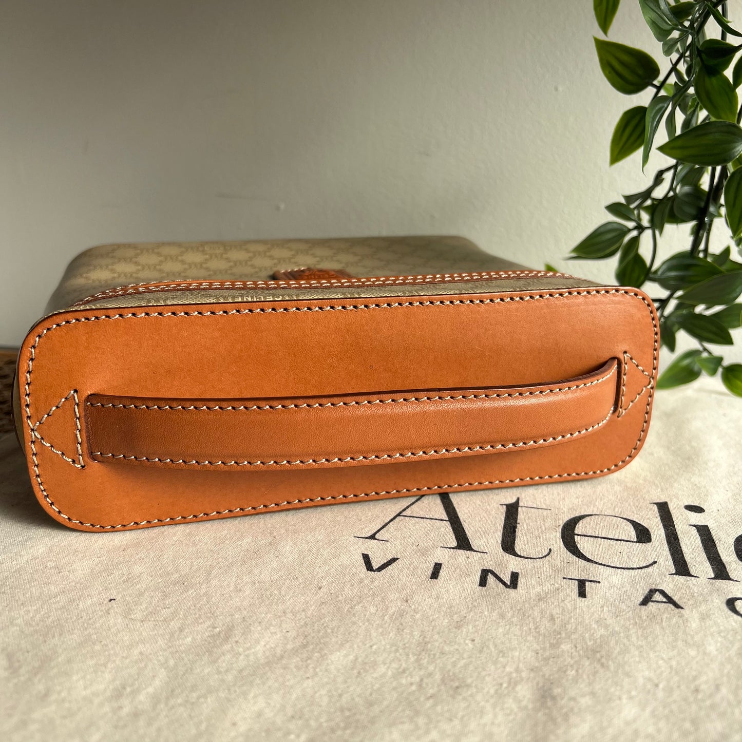 Celine Monogram Print Small Carry Case