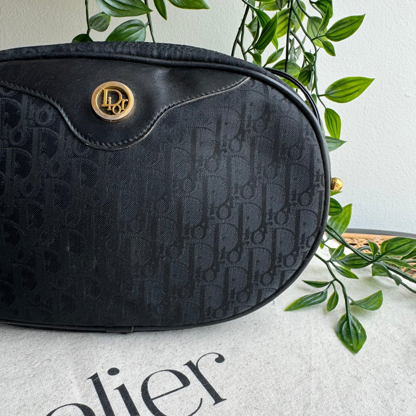 Dior 1980s Trotter Canvas Bag