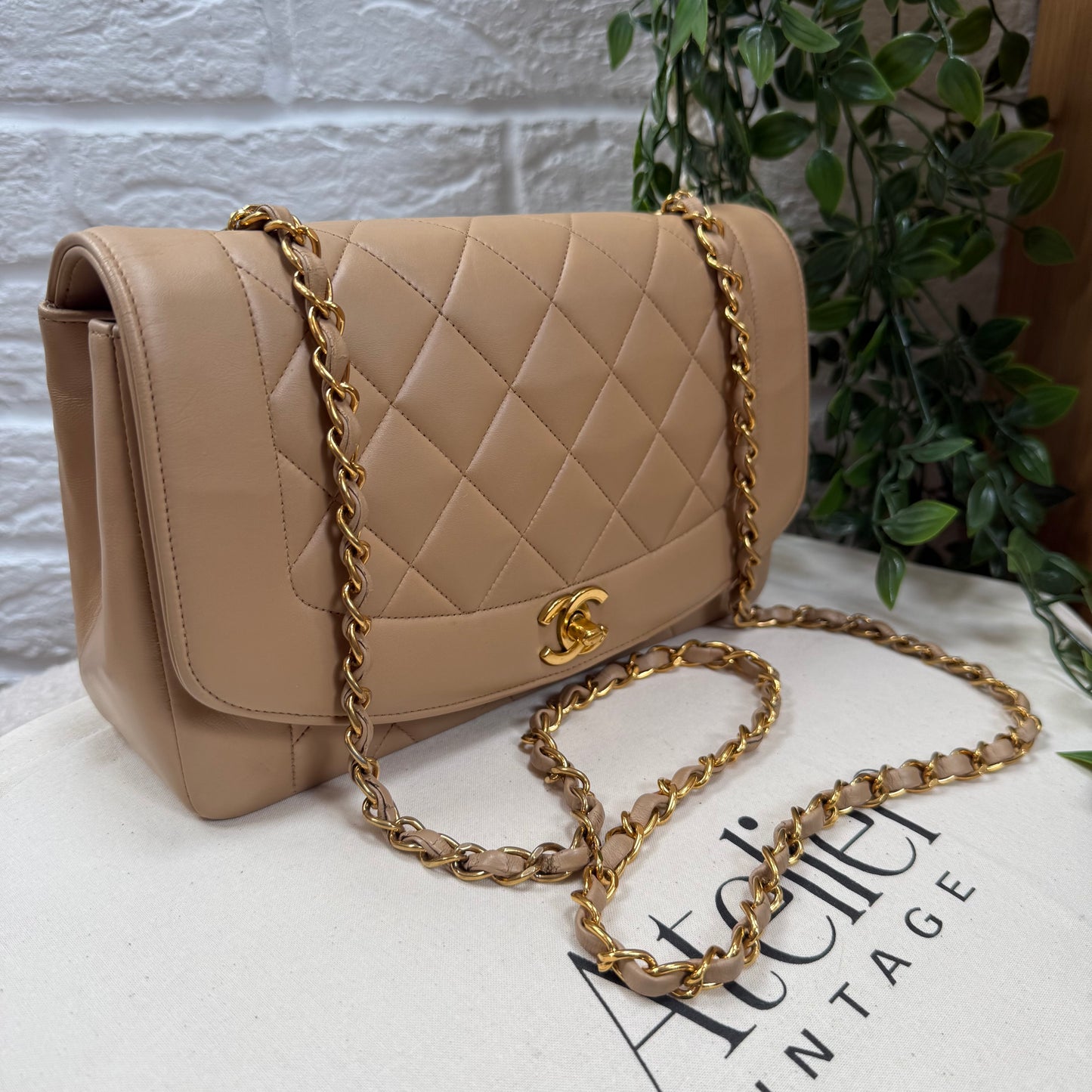 Chanel 1993 Rare Dark Beige Diana Medium