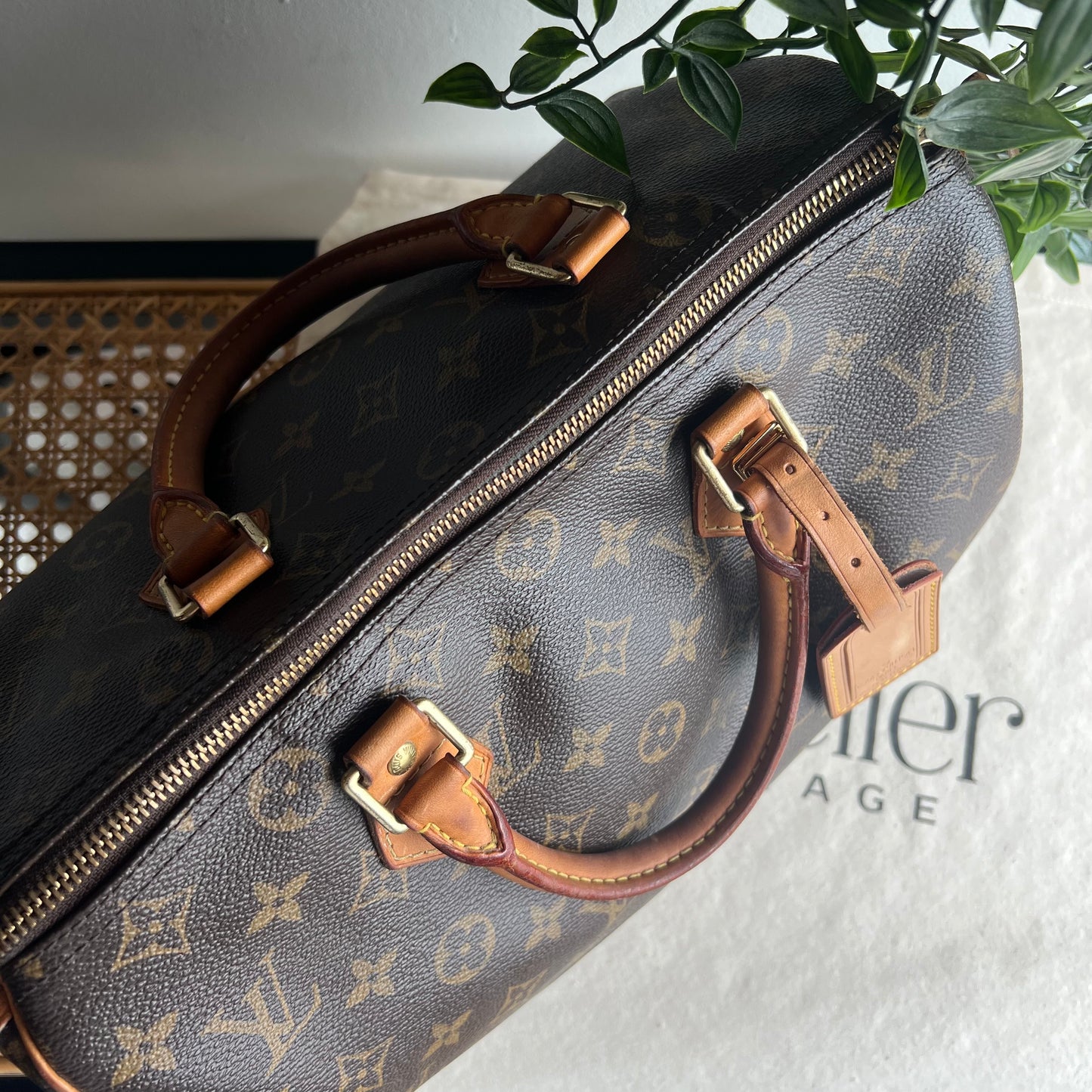 Louis Vuitton Speedy 30